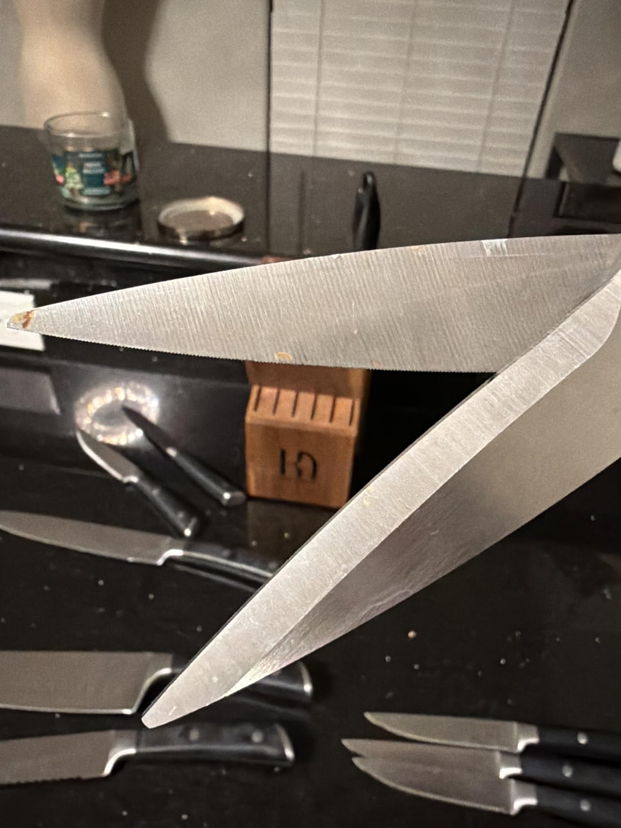 KnifeSaga 15 Pcs Japanese Knives Set for Kitchen, Razor Sharp, Professional | Innovative Steel, High Carbon Stainless, Enduring Sharpness, Ergonomic Handle, Quality Acacia Wood Block, Full-tang, Gift Box customer photo 1