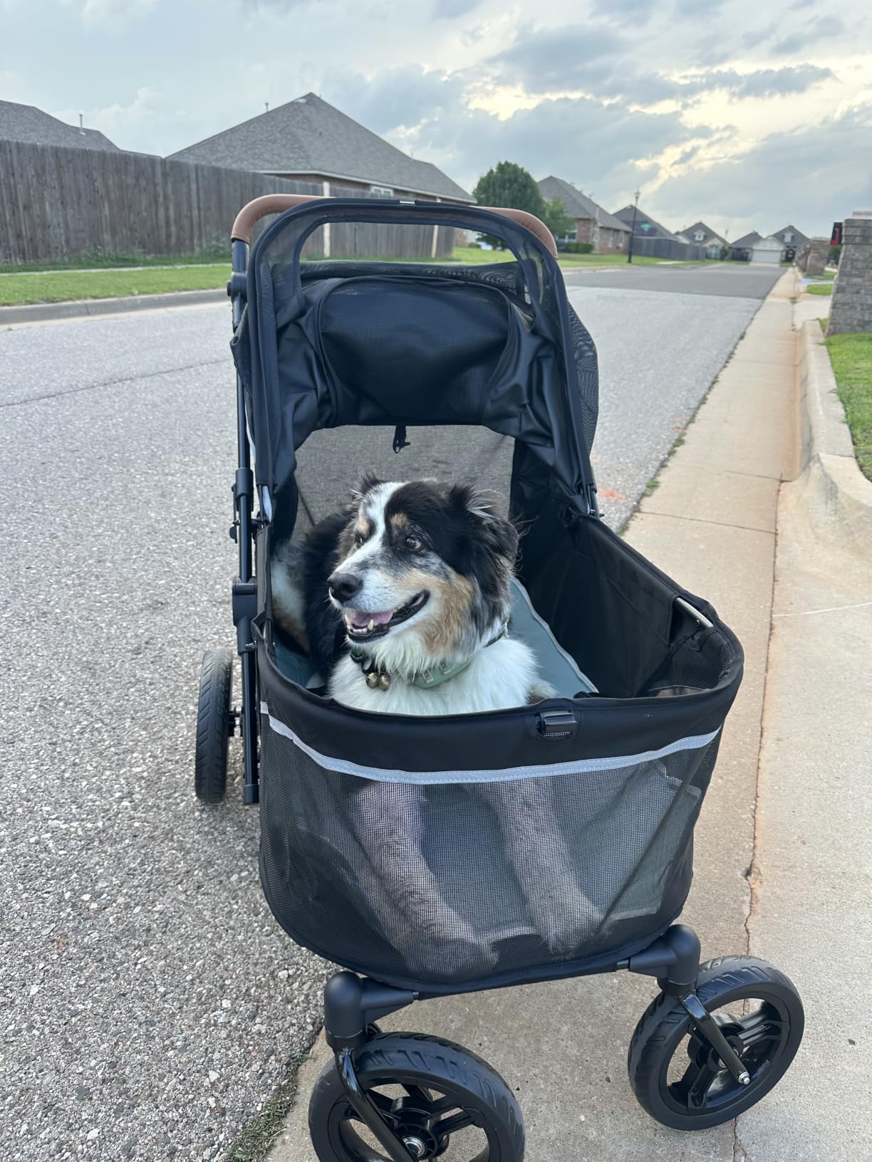 Zoosky Pet Stroller for Large Dogs up to 110lbs, Large Pet Stroller for Multiple Pets, All-Terrain with Adjustable Handle & Mesh Dual-Window, 1680D Waterproof Oxford Fiber customer photo 2