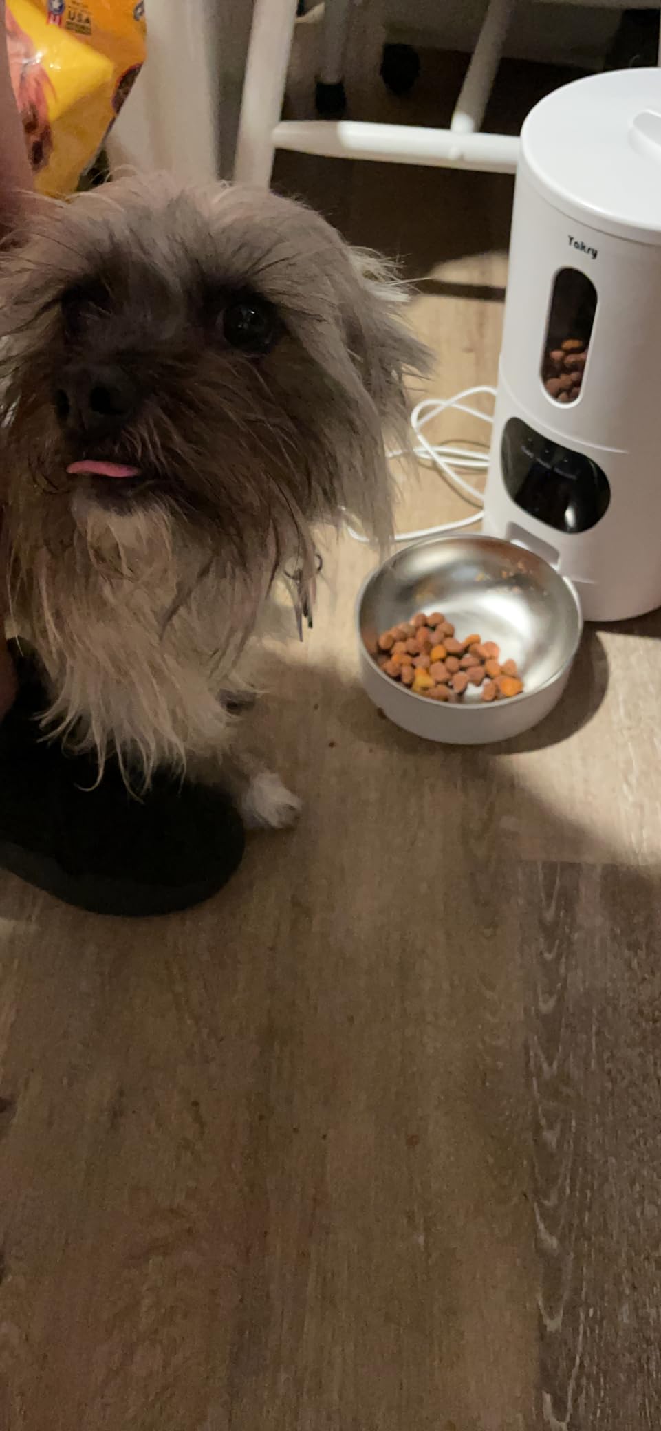 Automatic Dog Feeder Large Breed with Camera - 12L/50 Cups Anti-Clog Dog Food Dispenser for Kibble up to 20mm/0.8 in - WiFi App Scheduling & HD 1080P Camera for Remote Mealtime Check-Ins by Yakry customer photo 2