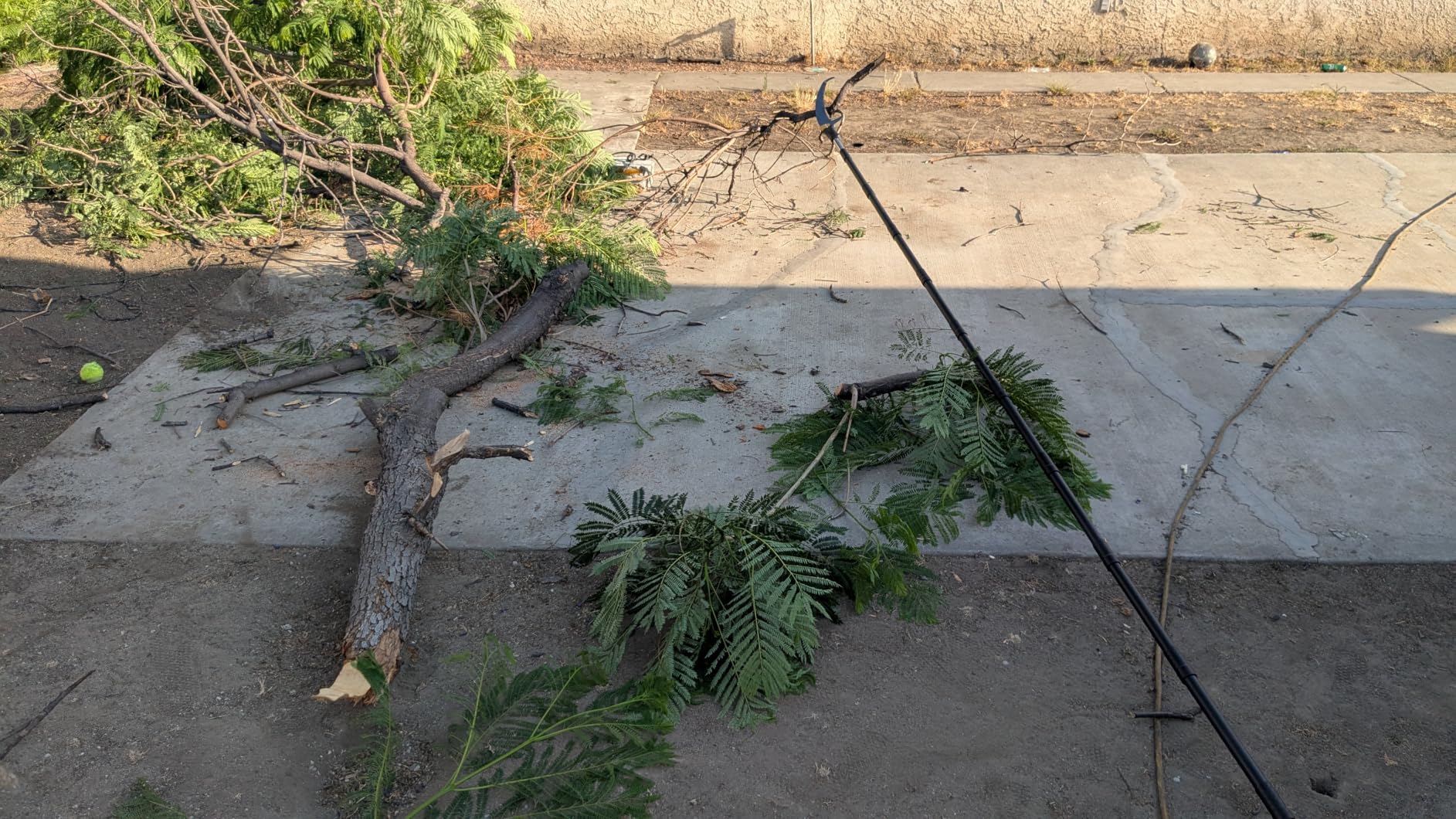 14.5FT Pole Saw with Adjustable Length for Tree Trimming, Lightweight Manual Pruning Saw with Mn Steel Blade, Long Extension Branch Cutter Pole Pruner for Yard, Garden, Patio & Forestry Use customer photo 1