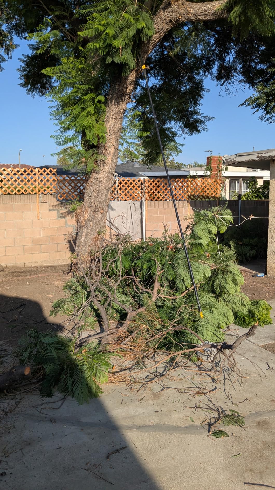 14.5FT Pole Saw with Adjustable Length for Tree Trimming, Lightweight Manual Pruning Saw with Mn Steel Blade, Long Extension Branch Cutter Pole Pruner for Yard, Garden, Patio & Forestry Use customer photo 2