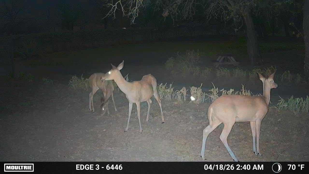 Moultrie Edge 3 Cellular Trail Camera - 40MP, 0.5s Trigger customer photo 1