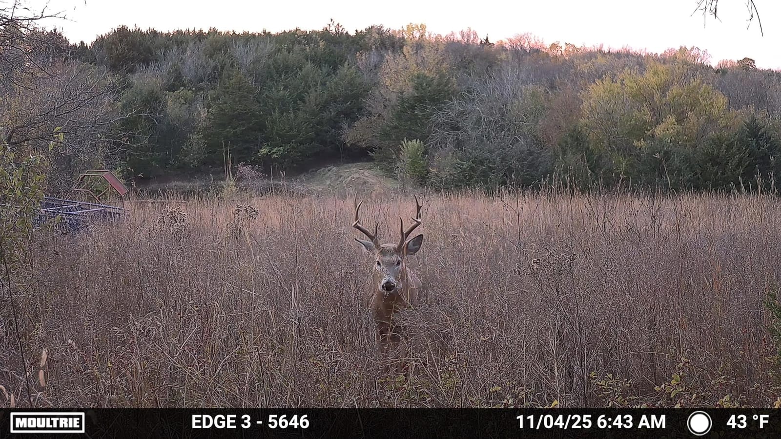 Moultrie Edge 3 Cellular Trail Camera - 40MP, 0.5s Trigger customer photo 2