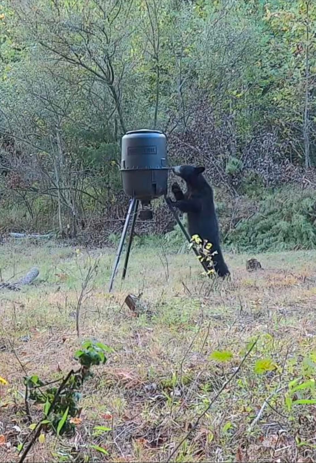 Moultrie 250 Lb Pro Hunter III Tripod Feeder - Bluetooth App Control customer photo 2