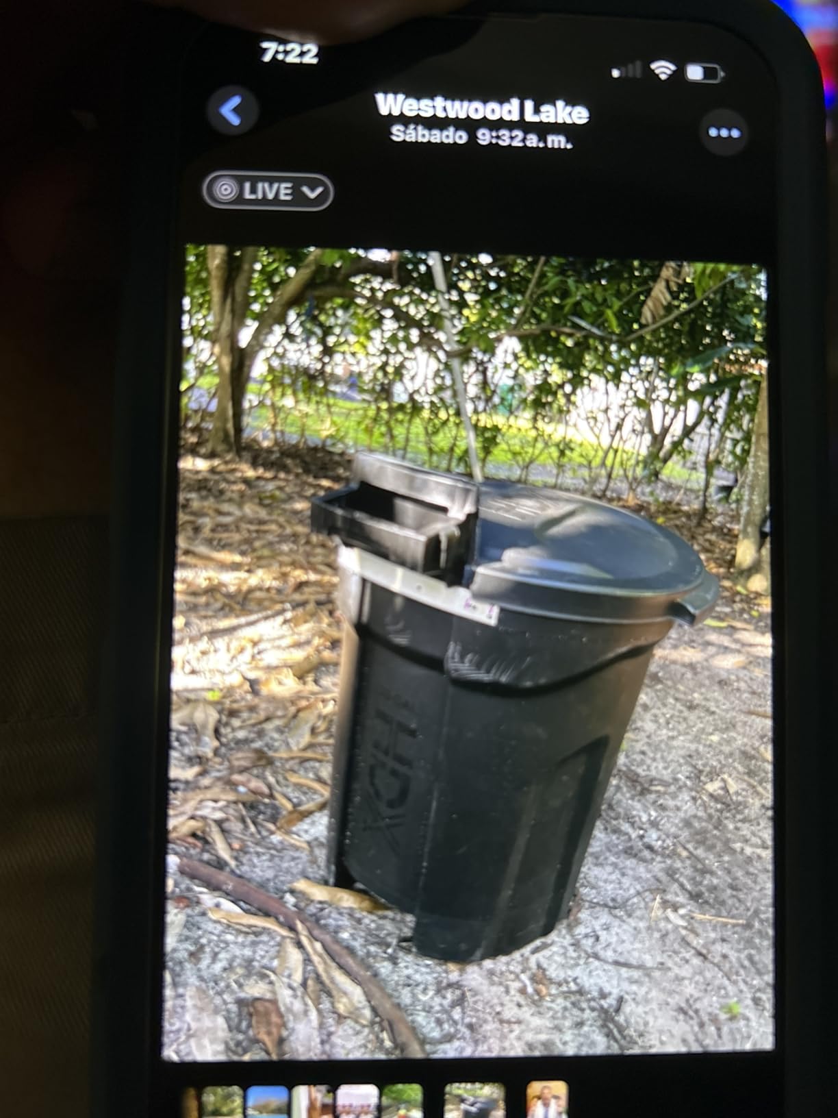 Electric Wood Chipper & Mulcher - 15A Powerful Garden Chipper for Branches, Sticks & Yard Waste - Compact, Quiet & Easy to Use with Collection Bag customer photo 2