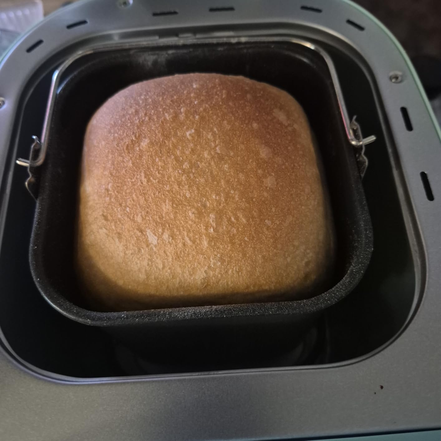 Elite Gourmet Programmable Bread Maker with PFAS-Free CERALAST Ceramic Pan, 2 lb customer photo 1