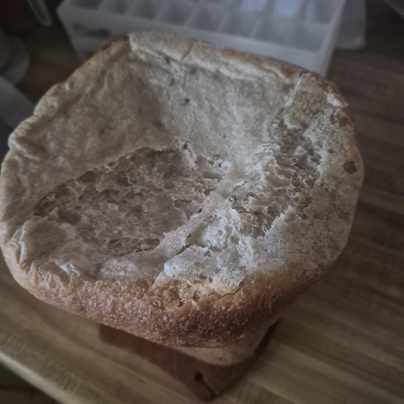 Elite Gourmet Programmable Bread Maker with PFAS-Free CERALAST Ceramic Pan, 2 lb customer photo 2