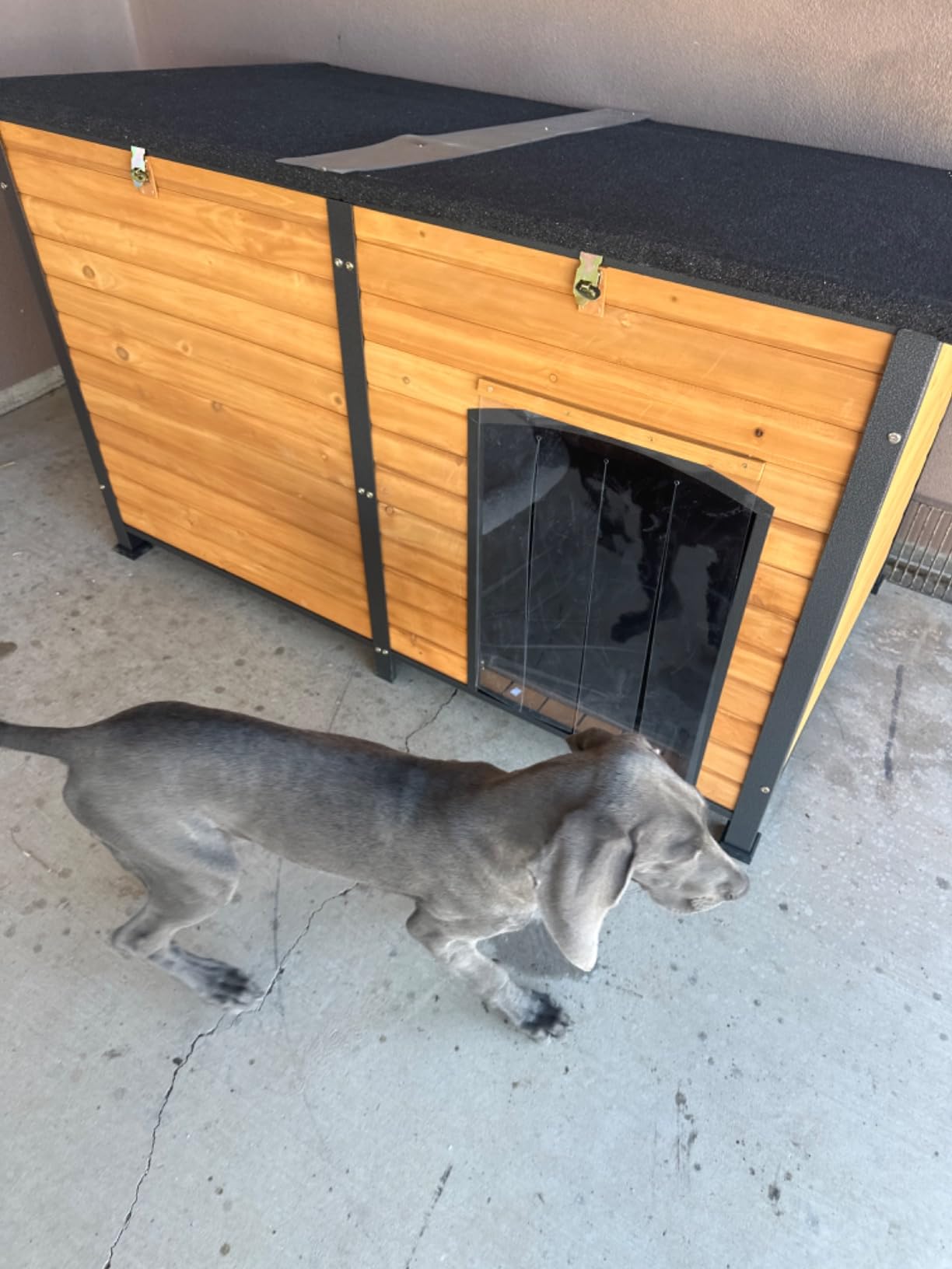 Extra Large Dog House Outdoor for Large Breed Dogs, Insulated Dog Kennel Outside, Metal Frame, Weatherproof Dog Shelter with Porch and Elevated Floor, for XL, XXL Big Dog (Heating Pad) (Brown) customer photo 1