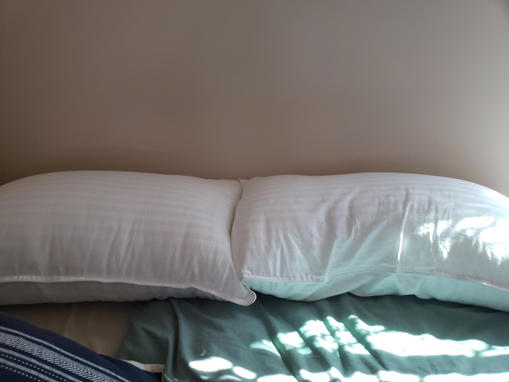 COZSINOOR Goose Down Feather Pillows Queen Size Set of 2 | Hotel Quality Soft 600 TC Cotton Cover, Fluffy Support Fill for Back, Stomach, Side Sleepers customer photo 1