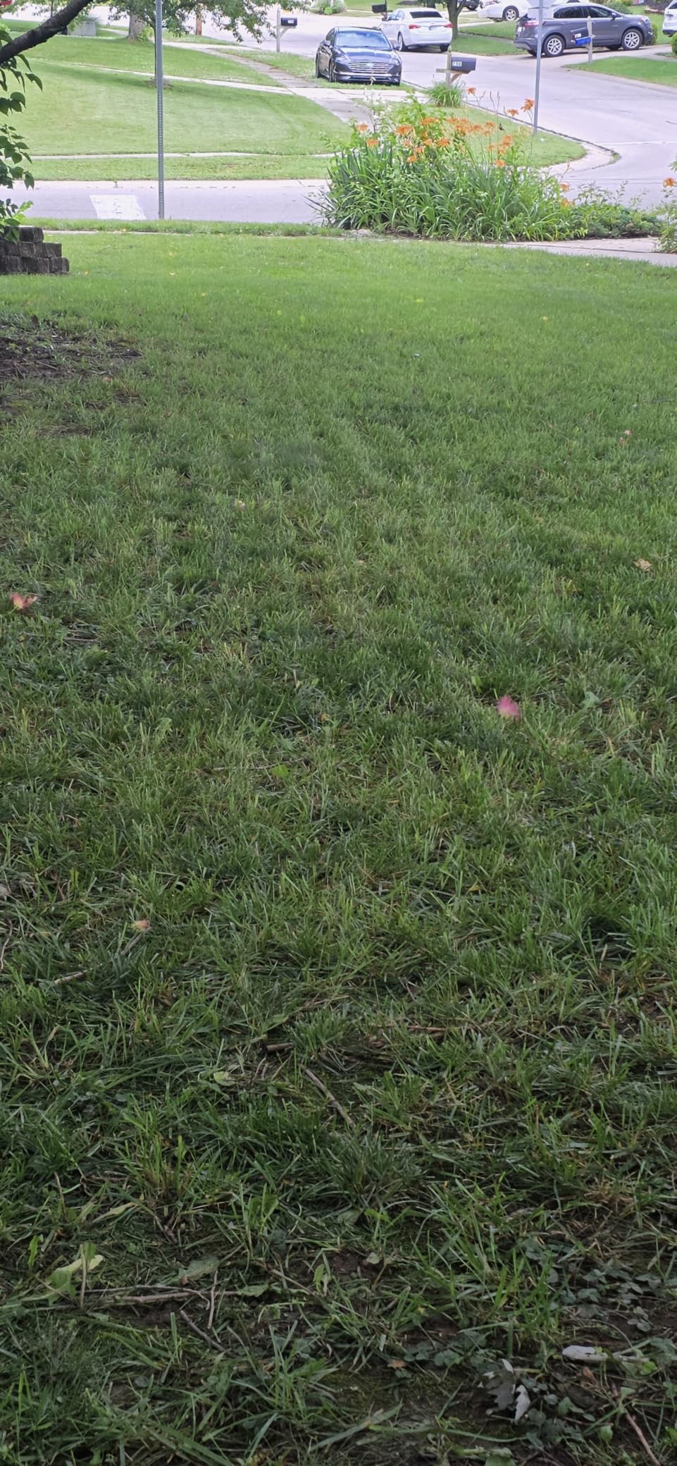 Sunseeker X5 AWD Robot Lawn Mower, 0.5 Acre / 21,780 Sq. Ft., Wireless No Boundary Wire Mower with RTK Vision Navigation, AI Obstacle Avoidance, App Control customer photo 2
