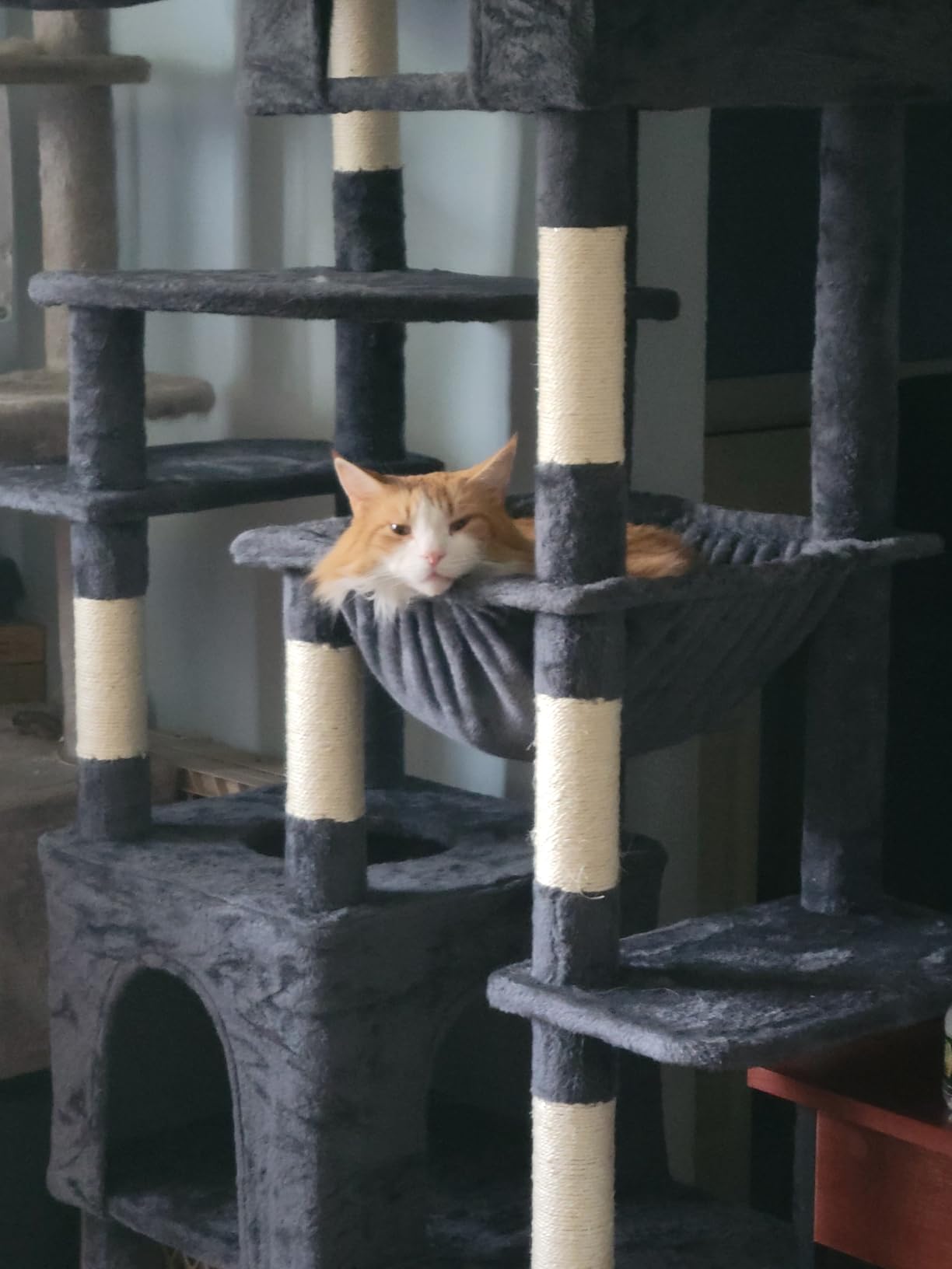 Heybly Cat Tree, 76-Inch Tall Heavy Duty Cat Tower for Big Cats HCT039G | Multi-Level Large Cat Furniture with Extra Wide Baseboard, 2 Condos & 2 Hammocks, 10 Scratching Posts, Smoky Gray customer photo 1