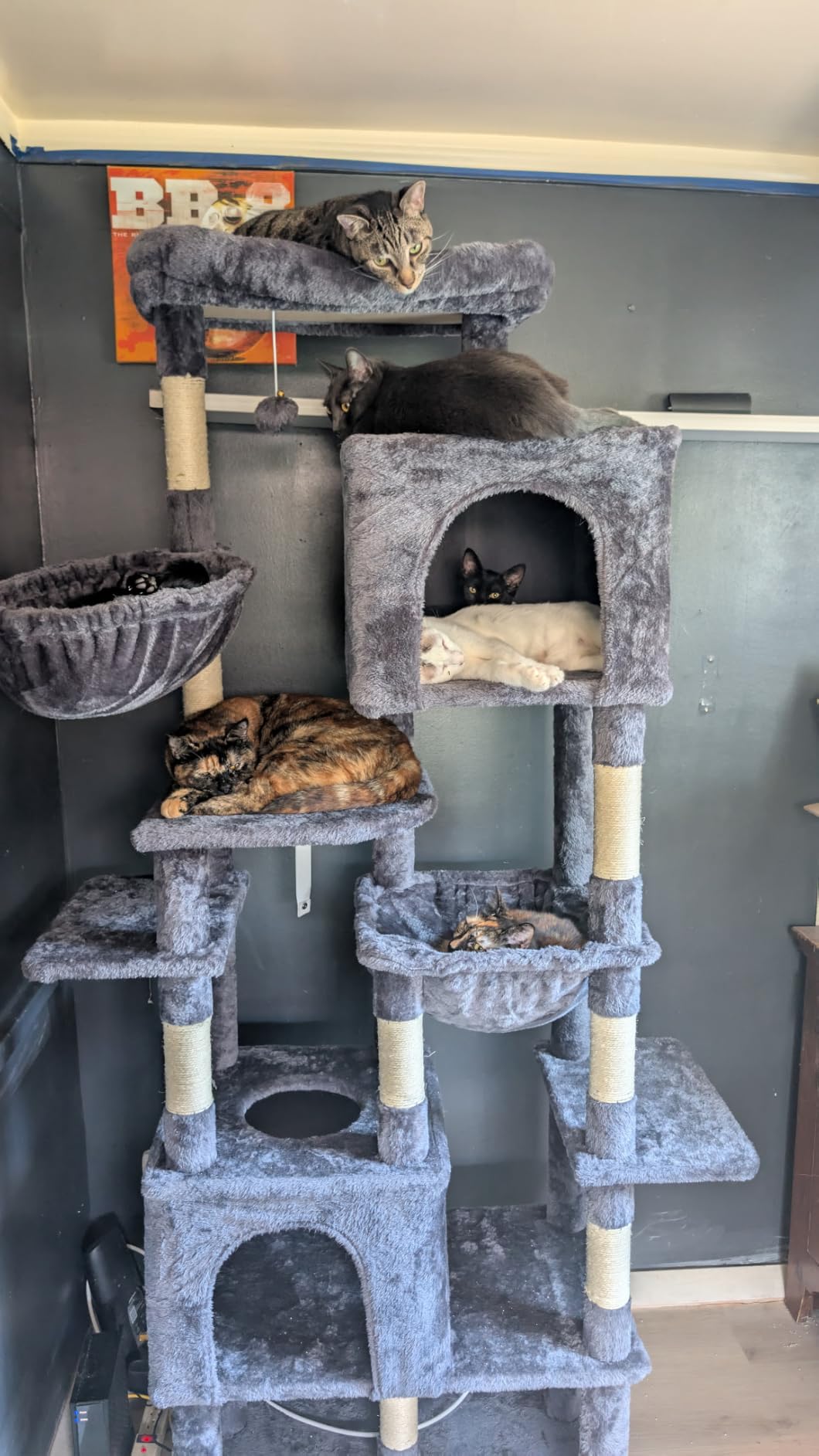 Heybly Cat Tree, 76-Inch Tall Heavy Duty Cat Tower for Big Cats HCT039G | Multi-Level Large Cat Furniture with Extra Wide Baseboard, 2 Condos & 2 Hammocks, 10 Scratching Posts, Smoky Gray customer photo 2