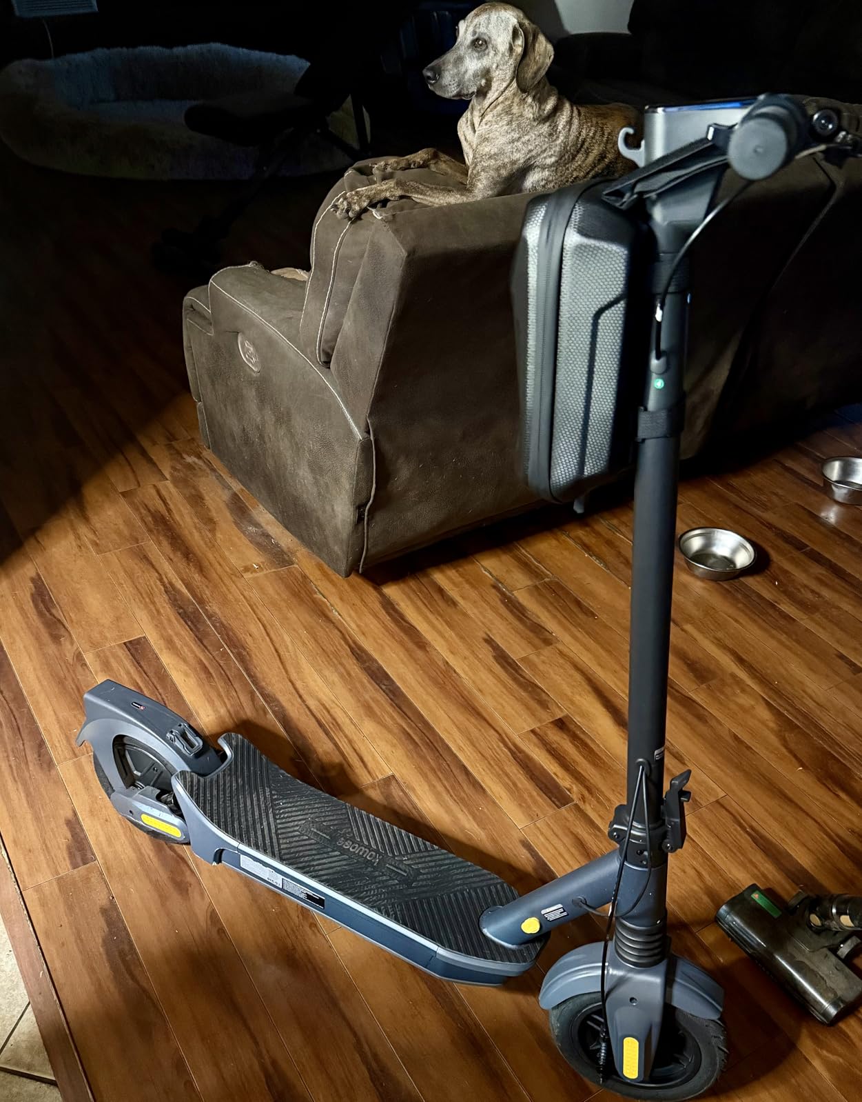 Electric Scooter for Adults Peak 1000W, 20MPH, 32/40 Miles Adult Electric Scooters with Long Range, 10