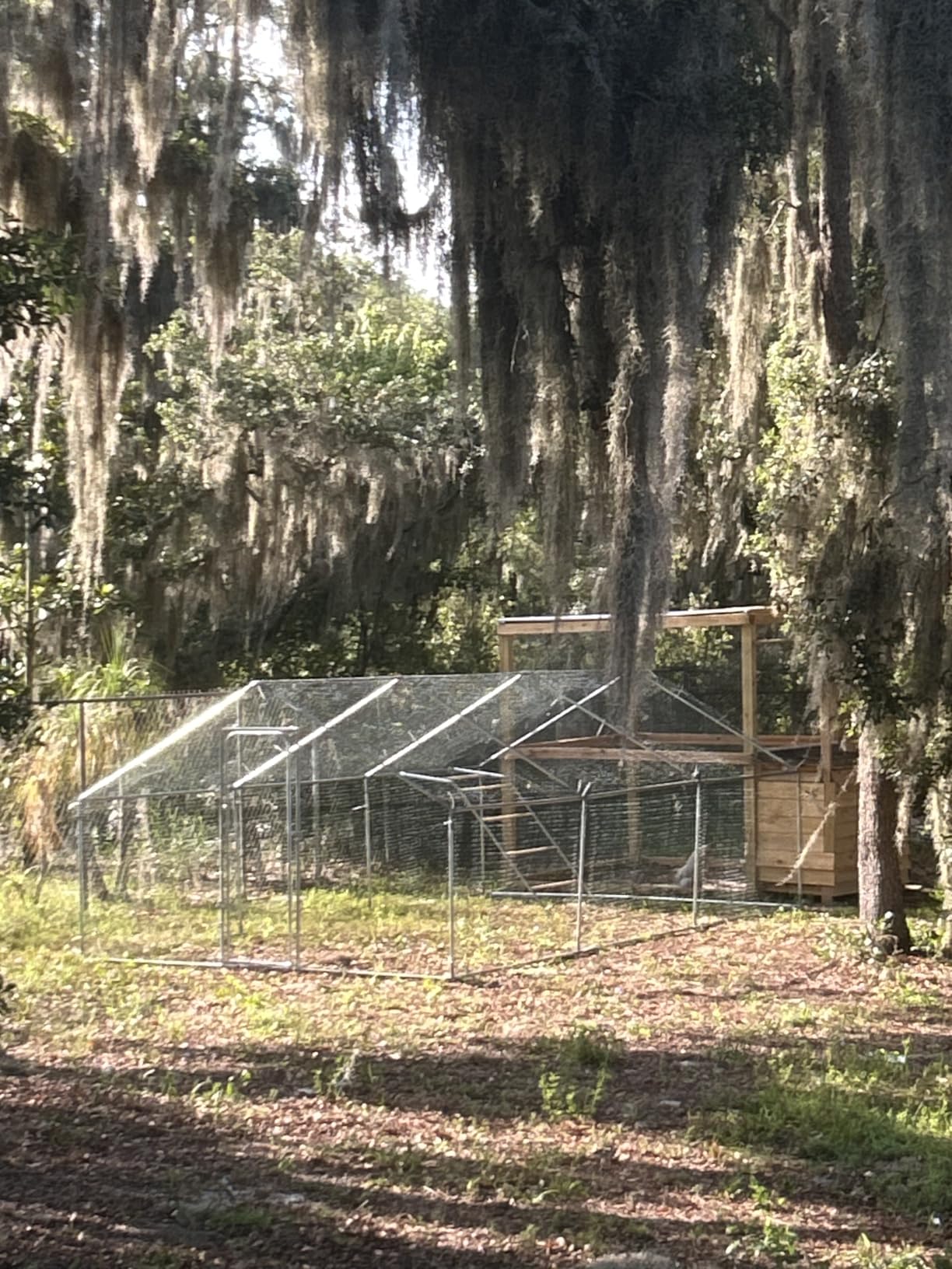 Large Metal Chicken Coop with Run for Yard with Waterproof &Anti-UV Cover,19.7 x 10 x 6.4ft Outdoor Walk-in Poultry Cage Chicken Run Pen with Roosting Perch, Hen Duck Rabbit House customer photo 1