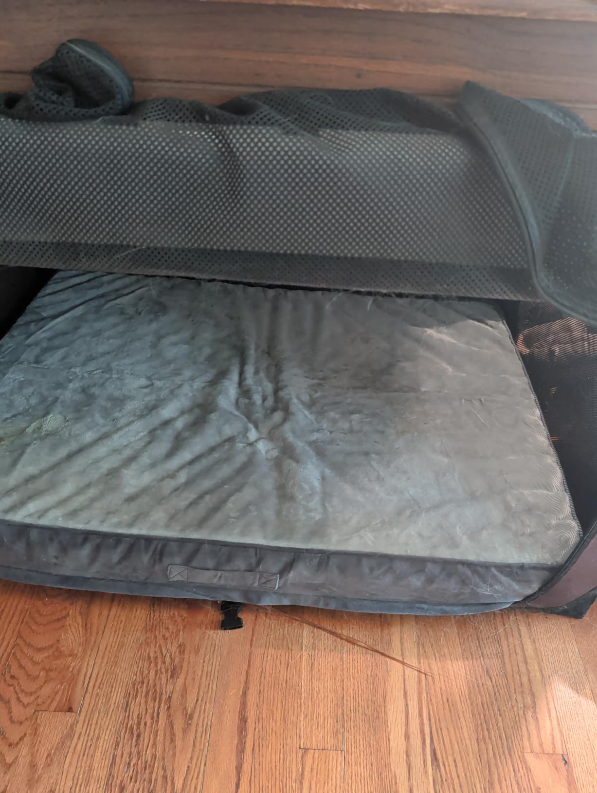 OhGeni Orthopedic Waterproof Large Dog Bed, Memory Foam, 41 inch(Gray) | Machine-Washable Removable Cover in Easy-Clean Fabric, Reversible Memory Foam & Easy-Carry Handle, Suitable for Crate customer photo 1