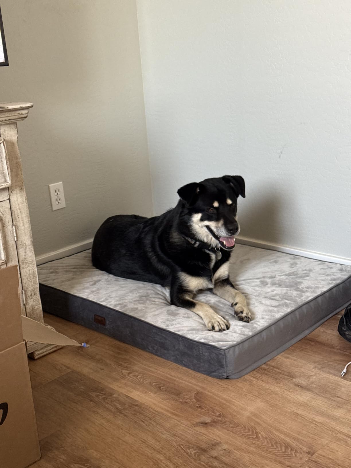 OhGeni Orthopedic Waterproof Large Dog Bed, Memory Foam, 41 inch(Gray) | Machine-Washable Removable Cover in Easy-Clean Fabric, Reversible Memory Foam & Easy-Carry Handle, Suitable for Crate customer photo 2