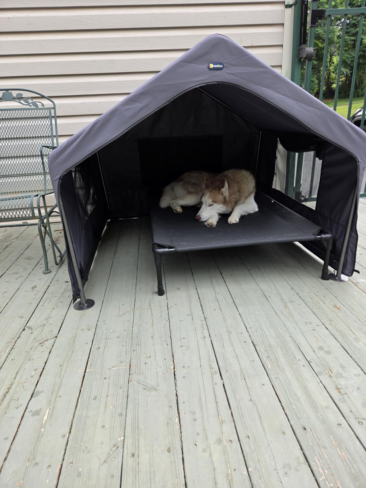 Veehoo Extra Large Dog House Outdoor with Elevated Dog Bed, Outside Dog Tent 4.1' x 4.1' x 3.3', Weatherproof Dog Shade Shelter and Raised Bed Combo for Pets or Stray Animals, Grey customer photo 1