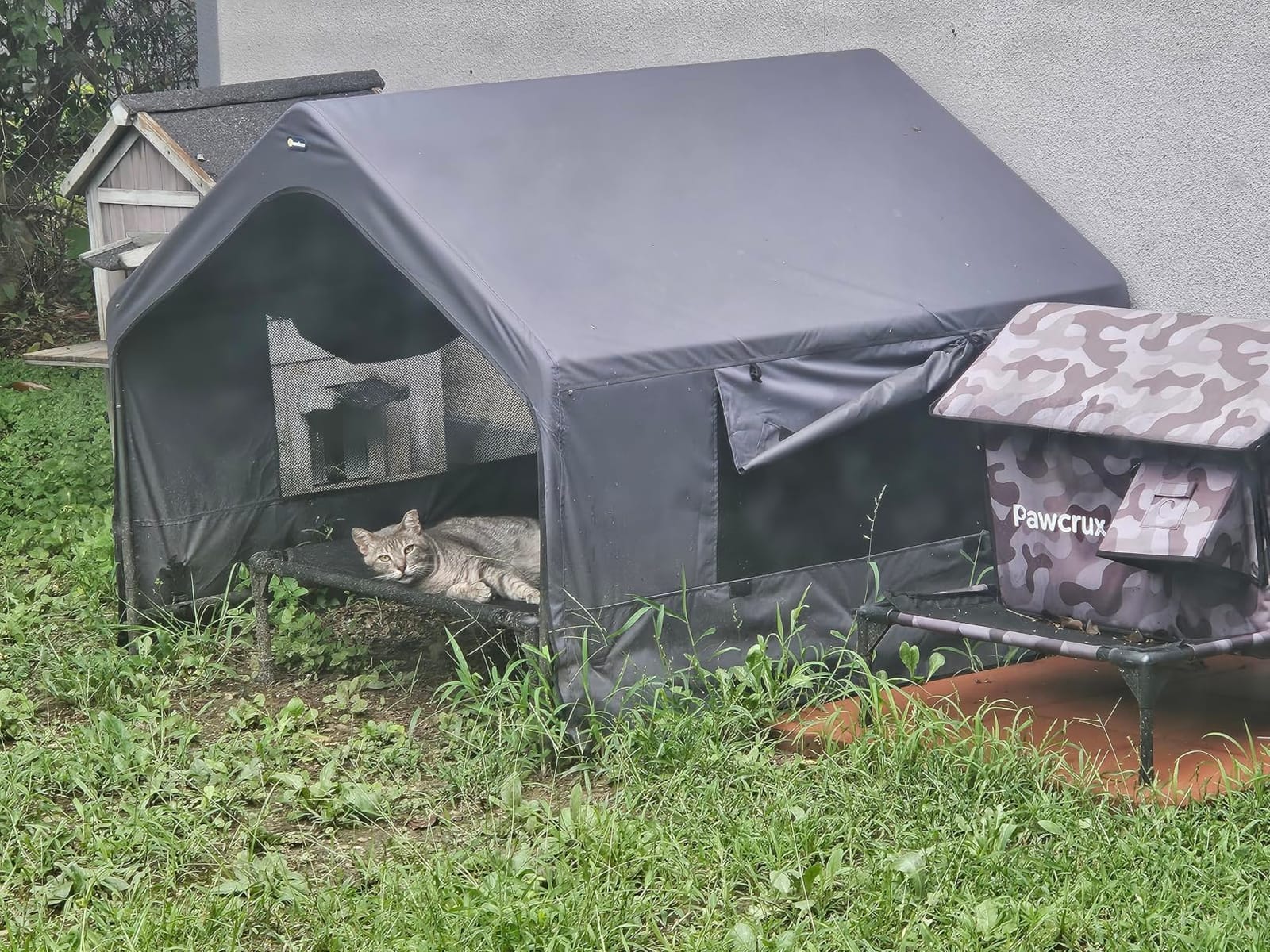 Veehoo Extra Large Dog House Outdoor with Elevated Dog Bed, Outside Dog Tent 4.1' x 4.1' x 3.3', Weatherproof Dog Shade Shelter and Raised Bed Combo for Pets or Stray Animals, Grey customer photo 2