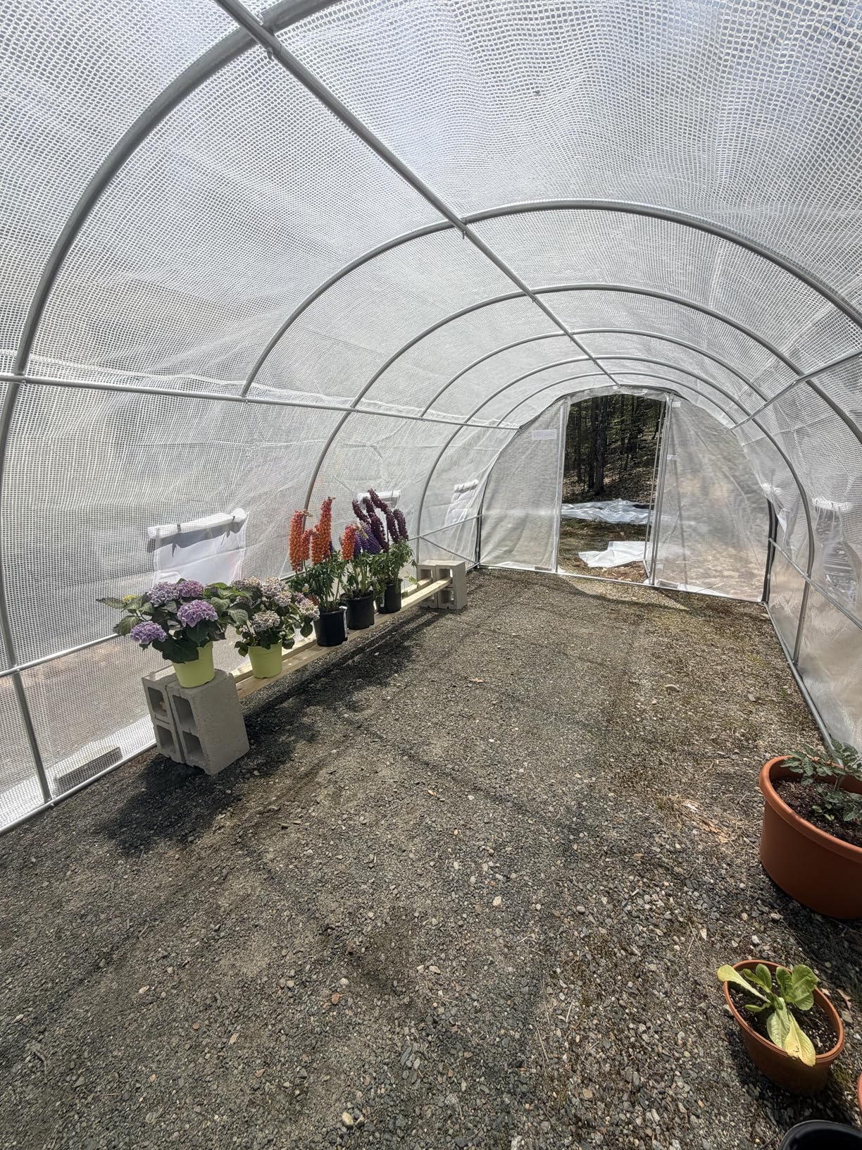Quictent 20x10x6.6 FT Premium Greenhouse for Outdoors with 2 Door Frames | Reinforced Top Structure & Cover, Large Heavy Duty Walk-in Tunnel Hoop Green House for Garden Backyard Flower Winter, White customer photo 1