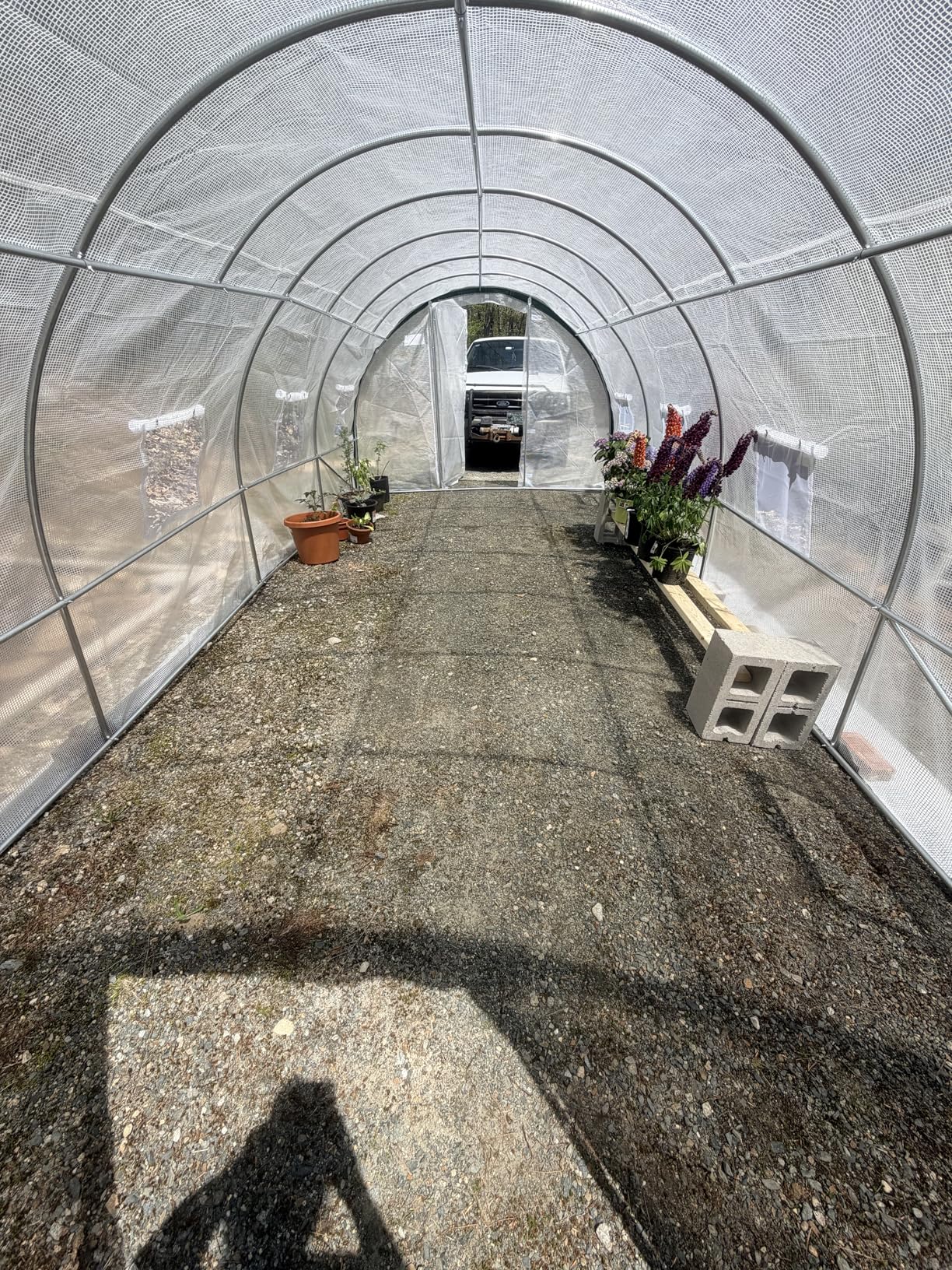 Quictent 20x10x6.6 FT Premium Greenhouse for Outdoors with 2 Door Frames | Reinforced Top Structure & Cover, Large Heavy Duty Walk-in Tunnel Hoop Green House for Garden Backyard Flower Winter, White customer photo 2
