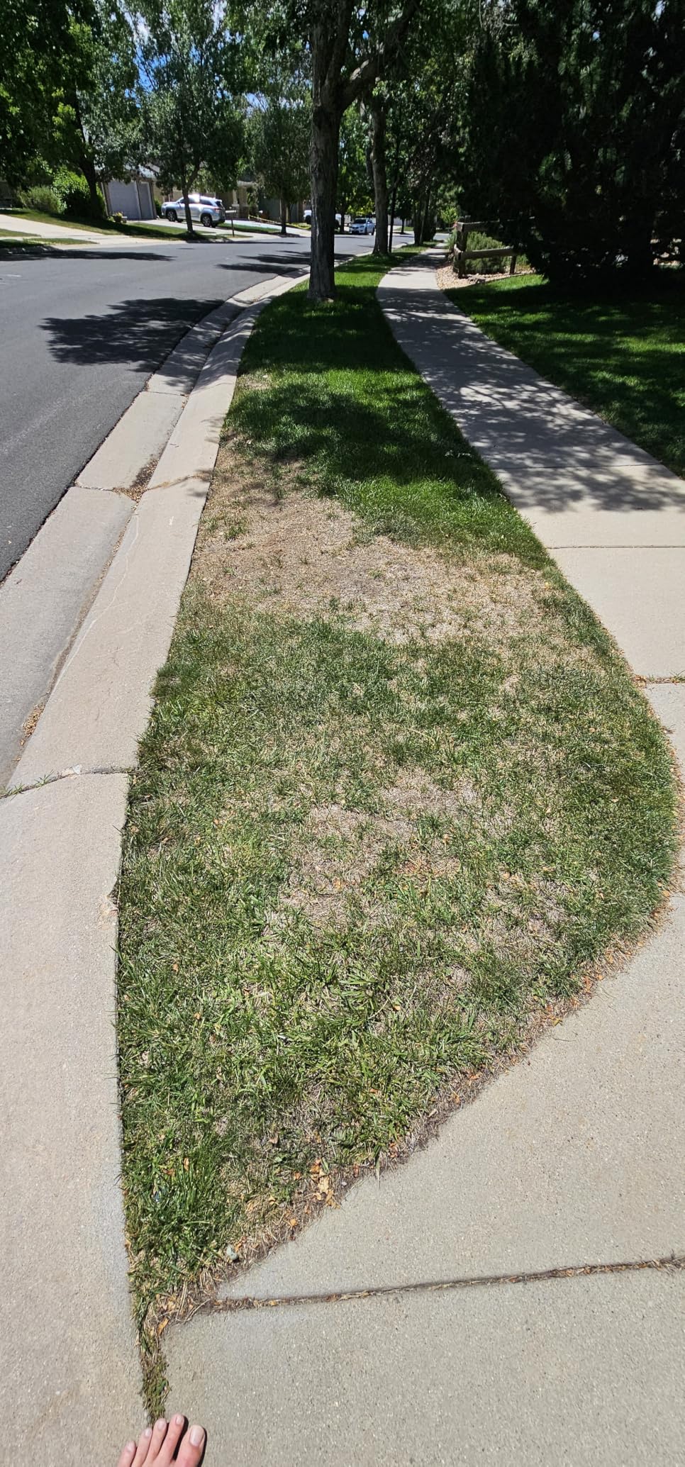 ECOVACS Goat A3000 LiDAR PRO Robotic Lawn Mower, Dual LiDAR Navigation, For Lawns Up to 3/4 Acre, Fast Charging, High-Efficiency Mowing up to 400 m²/h, Built-in TruEdge Edge Trimmer, App Control customer photo 2