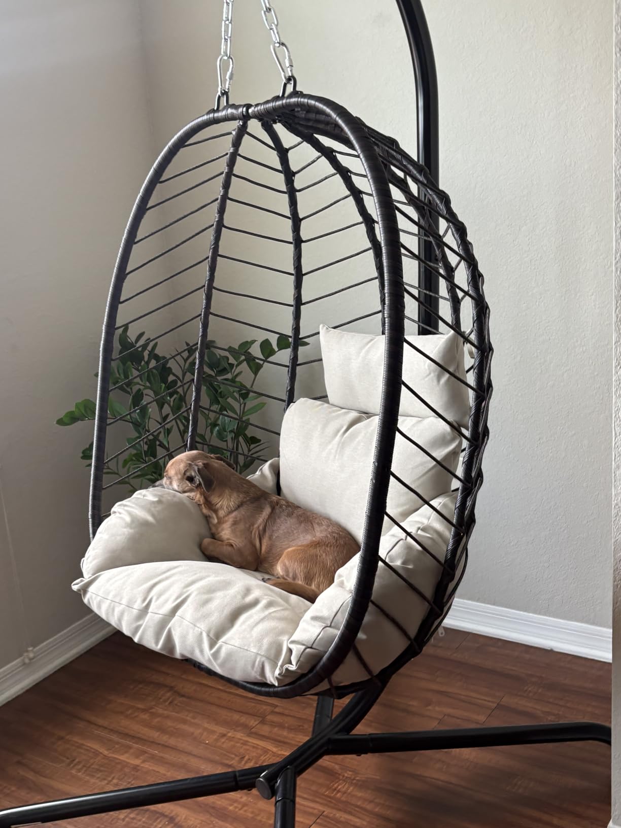 Foldable Egg Chair with Stand, 485LBS Capacity Textilene Hammock Swing Chair for Outdoor & Indoor, Hanging Chair with Strong Frame & UV Resistant Cushion for Balcony, Bedroom, Light Gray/D1 customer photo 1