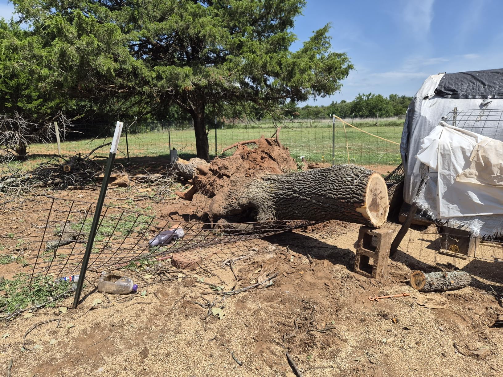 Husqvarna 450X Rancher Gas Chainsaw, 20 Inch, 50.2-cc 3.4-HP 2-Cycle X-Torq Engine, AutoTune, LowVib dampeners customer photo 2