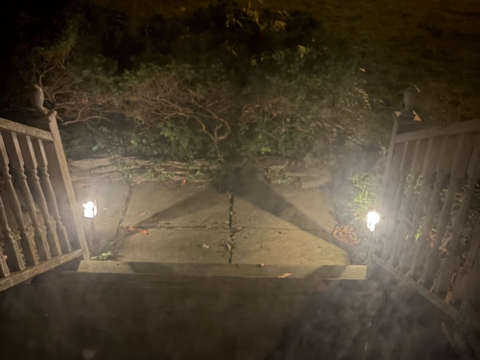 Tenmiro Solar Pathway Lights Outdoor 8 Pack, Bright Solar Garden Lights | IP65 Waterproof Shatterproof, Auto On/Off Landscape Lighting for Yard Lawn Patio Walkway Driveway Decor 3000K customer photo 2