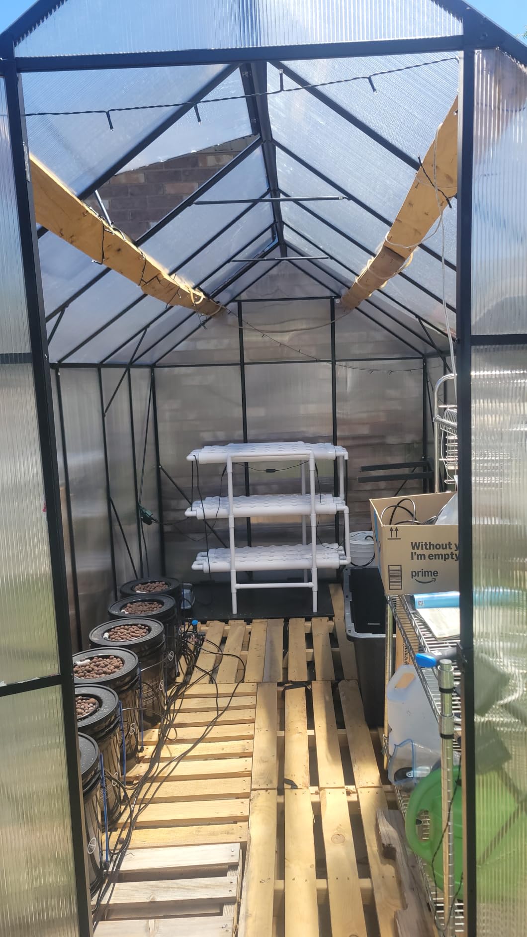 8x10 FT Greenhouse for Outdoors, Heavy-Duty Polycarbonate Greenhouse | Backyard Greenhouse Kit with Adjustable Roof Vent, PC Panels, Free Thermometer, Grow Lights & Solar Lights for Seed Starting customer photo 2