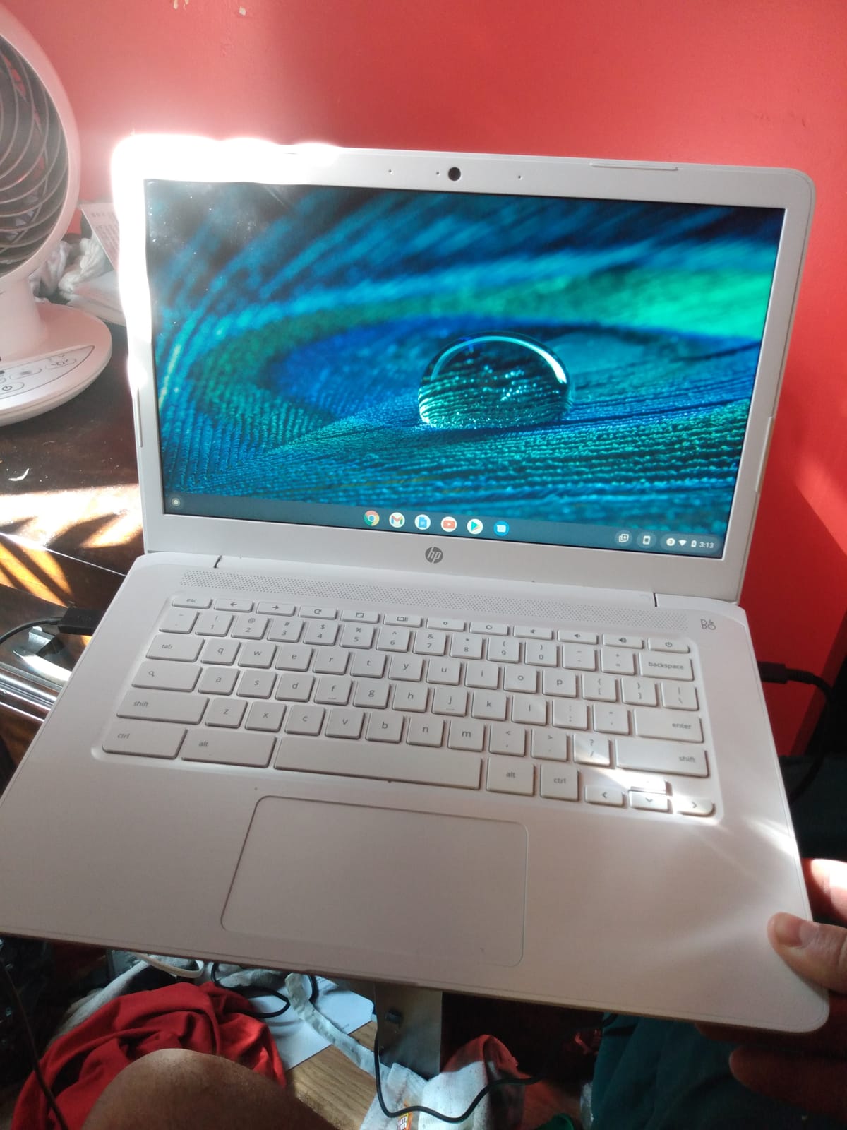HP 2026 Laptop, 1 Year Office 365 & AI-Copilot, 128GB UFS with 500GB Ext HDD, Win 11 Home S, Intel Processor CPU, Wi-Fi 6, HD Camera, Long Battery Life & Ultra Light, For Students & Business, Frost Blue customer photo 1
