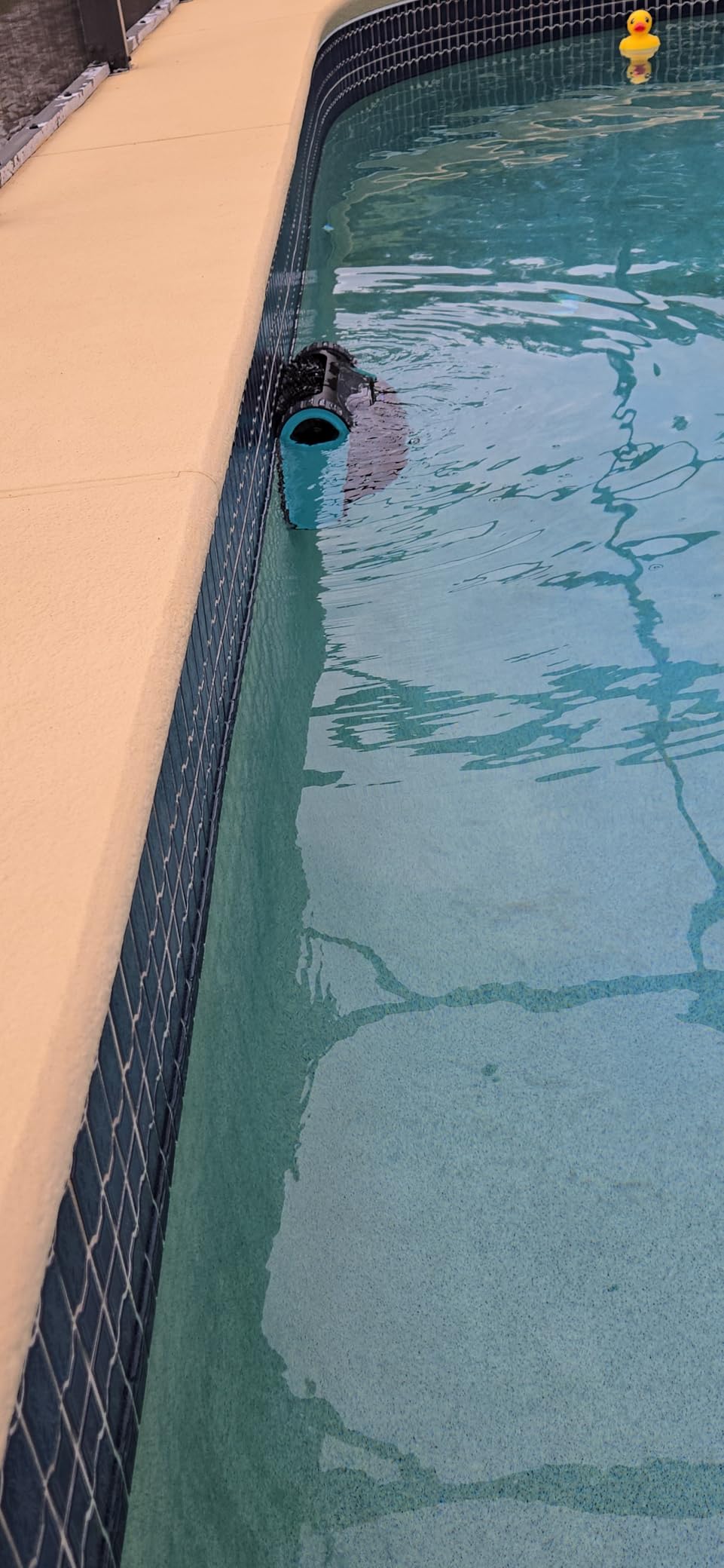 (2026 Upgrade) Aiper Scuba S1 Robotic Pool Cleaner, 270-Min Runtime, Floor, Wall, Waterline, Shallow Area Cleaning, Smarter Navigation, 11 High-Precision Sensors, App Support - Blue customer photo 2