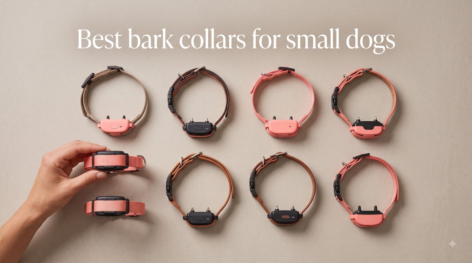 Best bark collars for small dogs