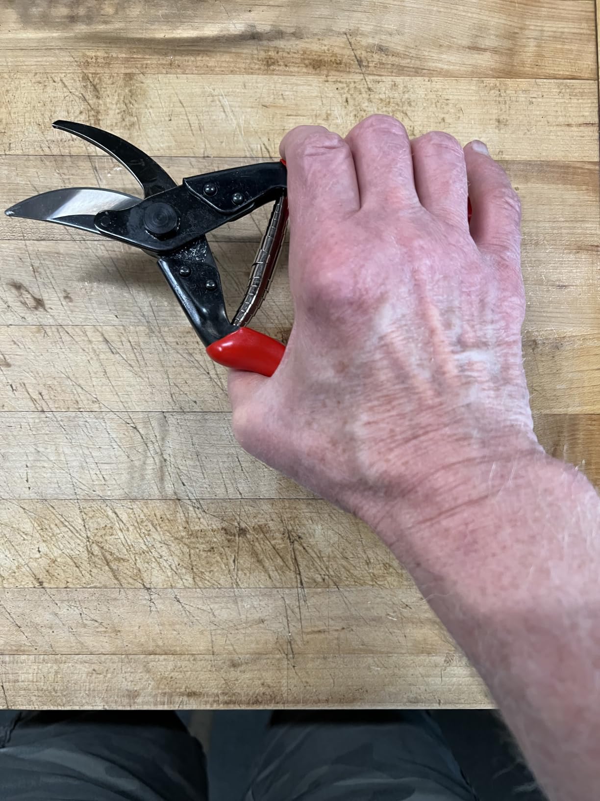 Felco F5 Pruning Shears – 8.9