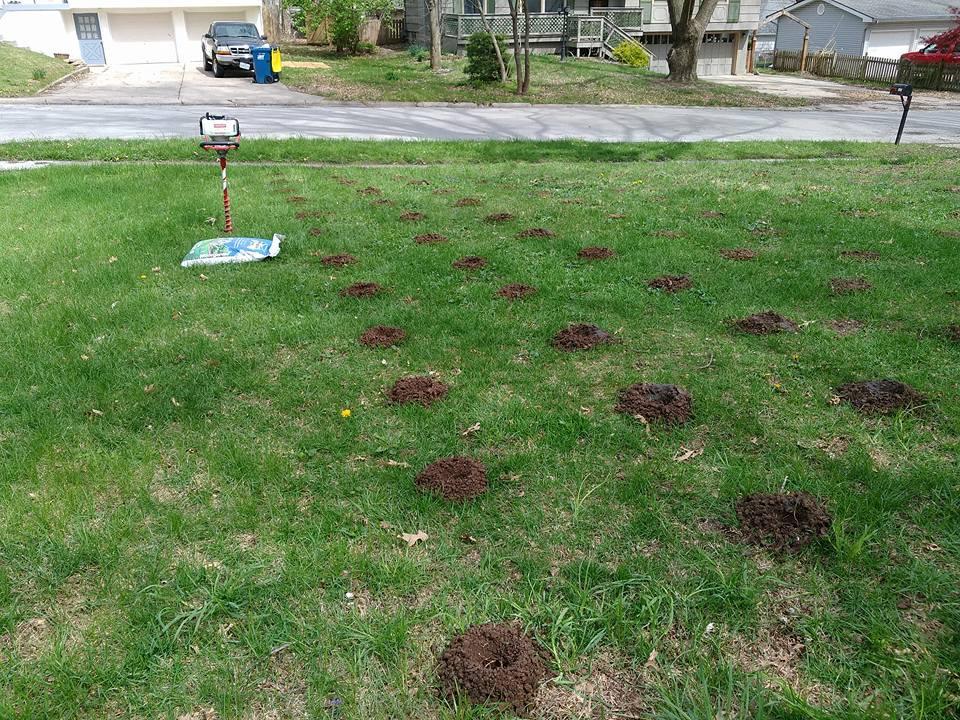 Earthquake EA10F 10-Inch Diameter 36-Inch Long Earth Auger with Fishtail Point and Flex Coil Shock Spring customer photo 1