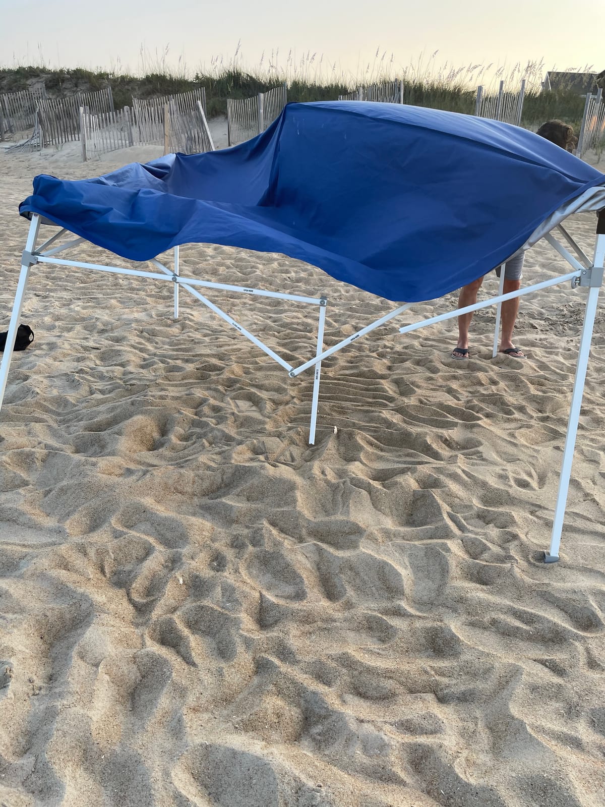 E-Z UP Sierra II Instant Pop Up Outdoor Canopy 10' x 10', Roller Bag and 4 Piece Spike Set, Royal Blue customer photo 2