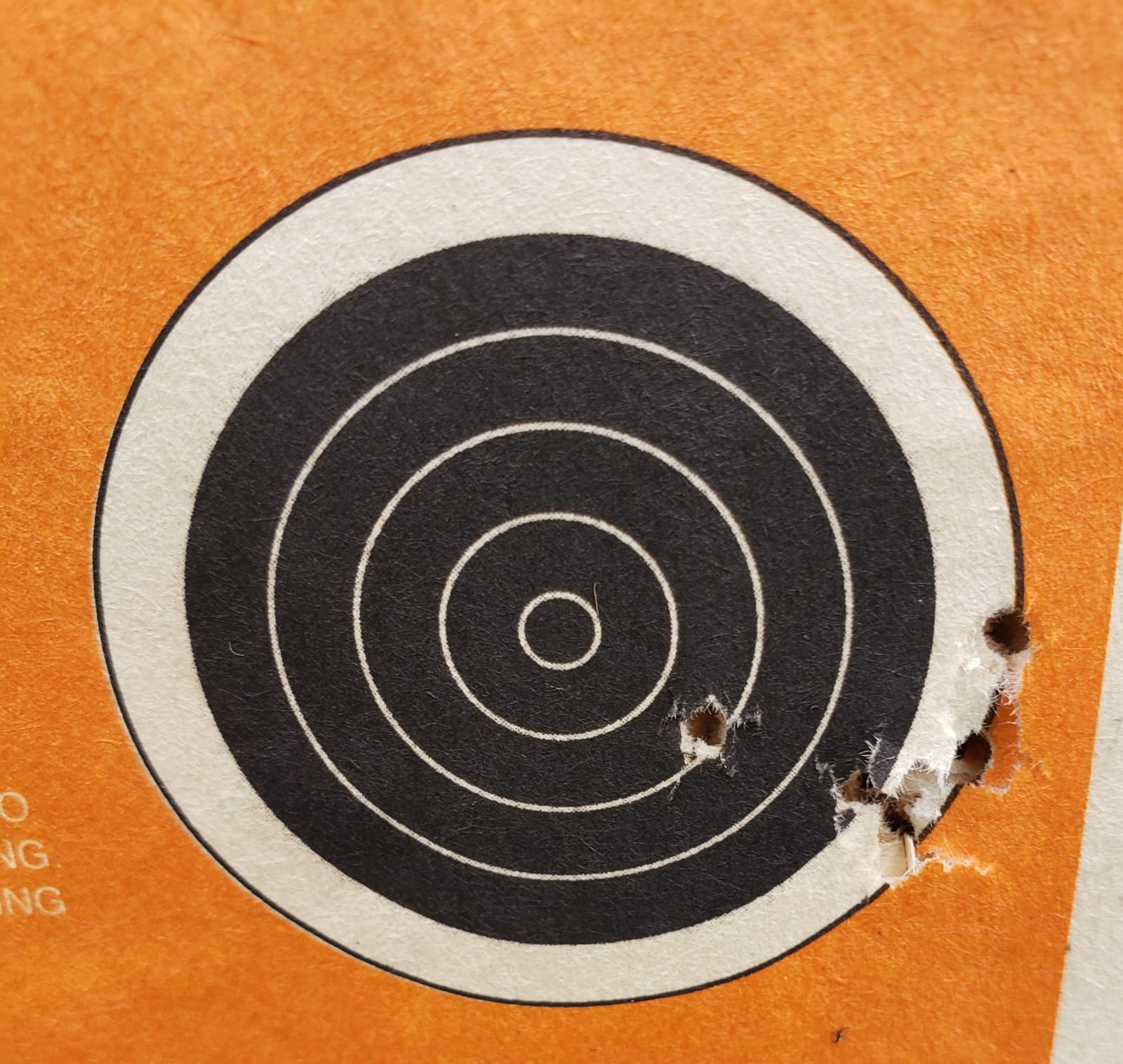 Daisy Model 25 Pump-Action BB Air Rifle - .177 Cal - 350 FPS customer photo 2
