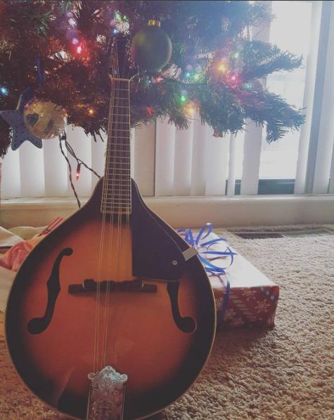 Savannah SA-100 A-Model Mandolin, Sunburst customer photo 1