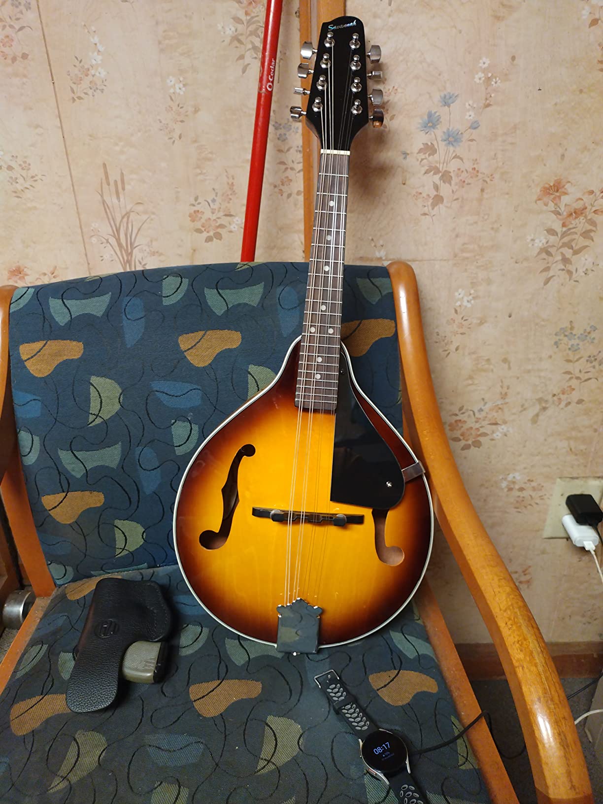Savannah SA-100 A-Model Mandolin, Sunburst customer photo 2