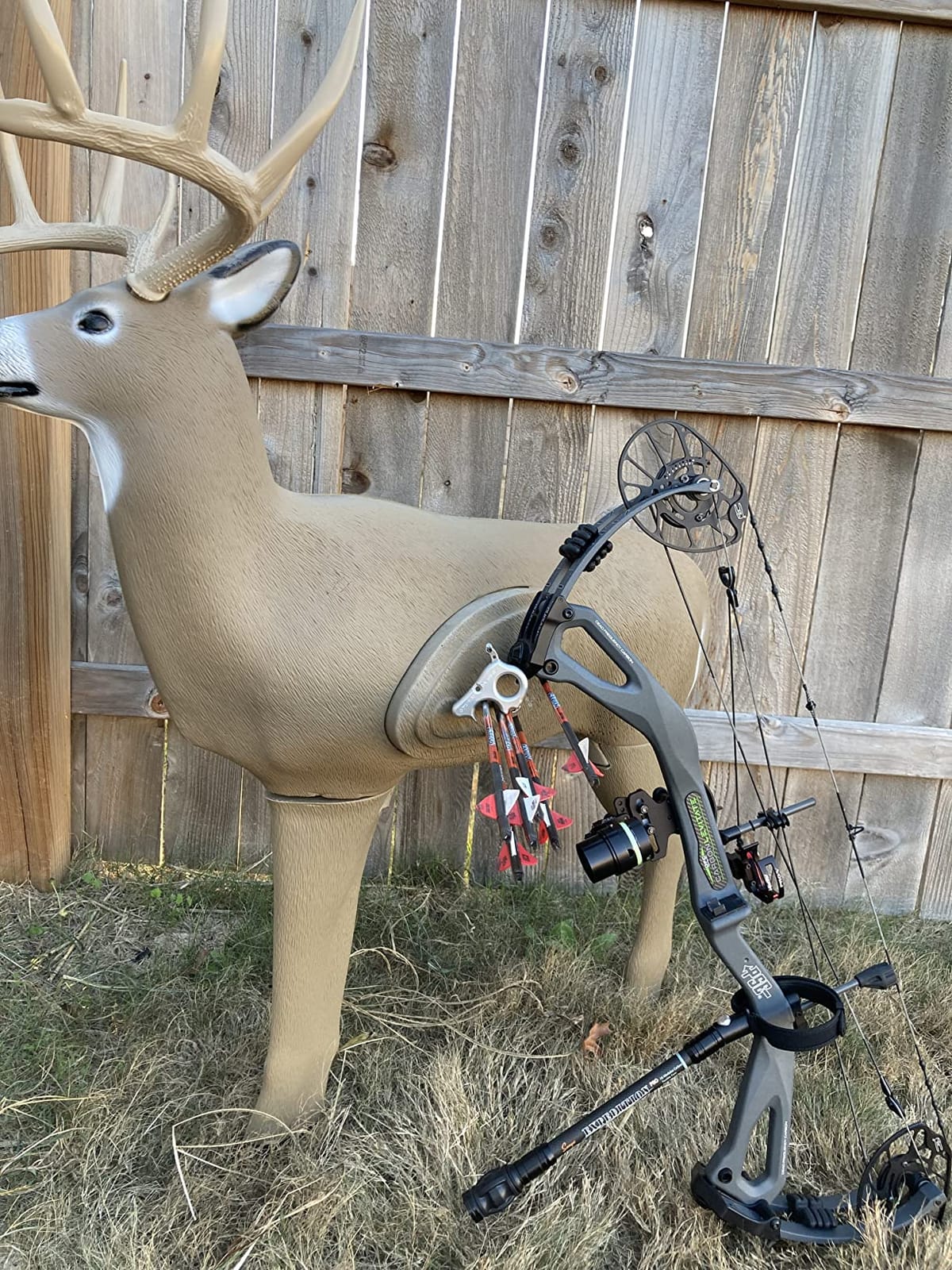 SHOOTER Buck 3D Archery Target, Replaceable Insert for Long Life, Weather-Resistant Construction, High-Density Impact-Response Foam Withstands Field Points, Broadheads, and Expandables customer photo 1