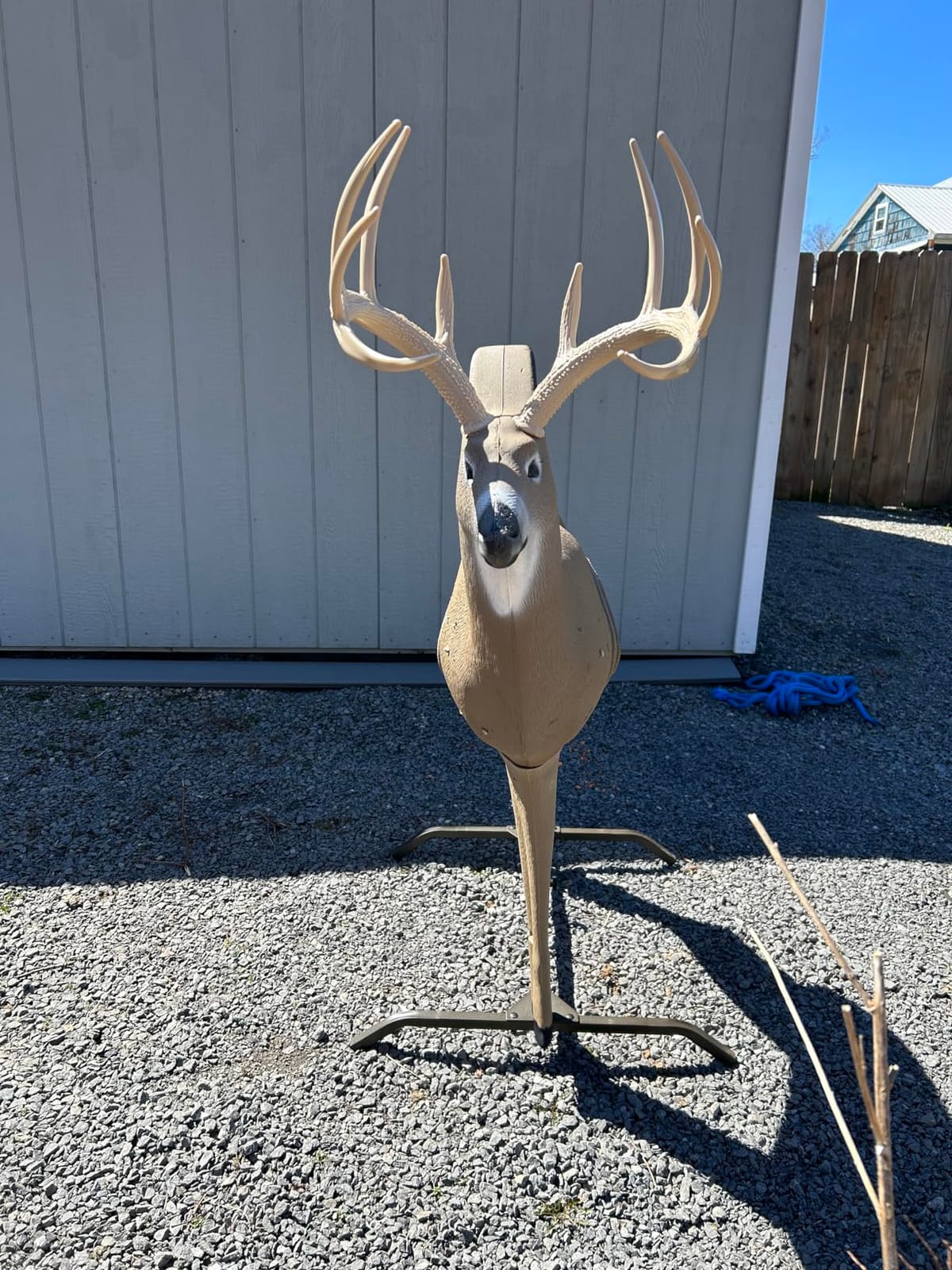 SHOOTER Buck 3D Archery Target, Replaceable Insert for Long Life, Weather-Resistant Construction, High-Density Impact-Response Foam Withstands Field Points, Broadheads, and Expandables customer photo 2