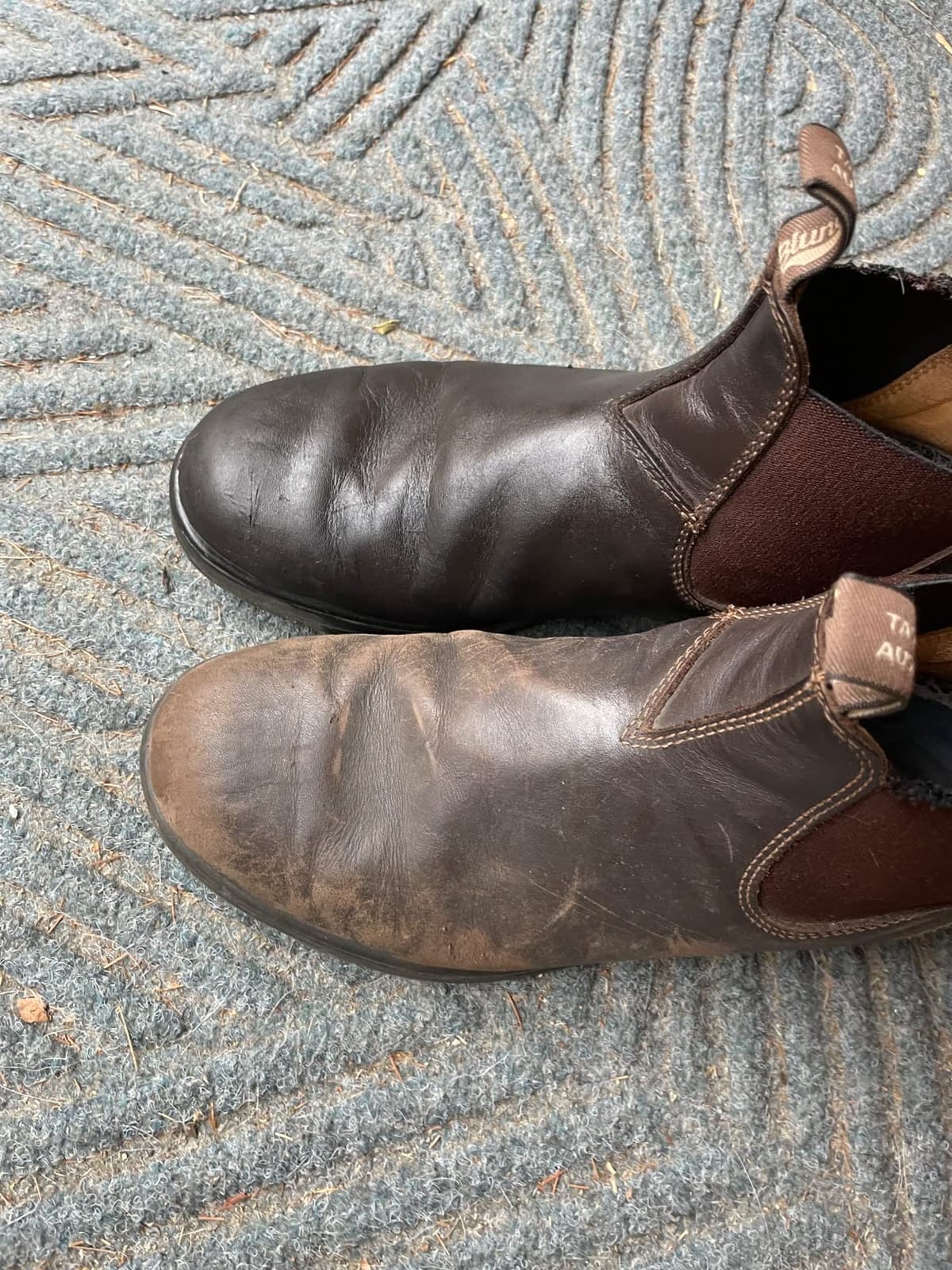 Blundstone Chelsea Boots Men Women - 550 Classic Series customer photo 2