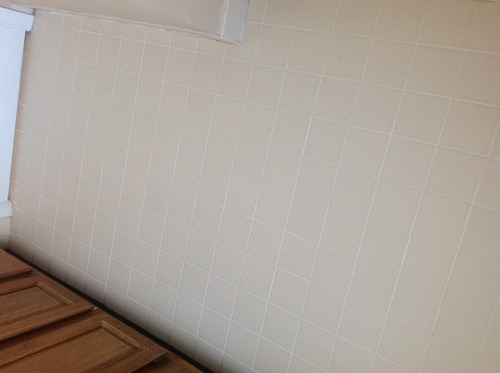 Oreck Commercial Orbiter Hard Floor Cleaner, For All Flooring Types customer photo 2