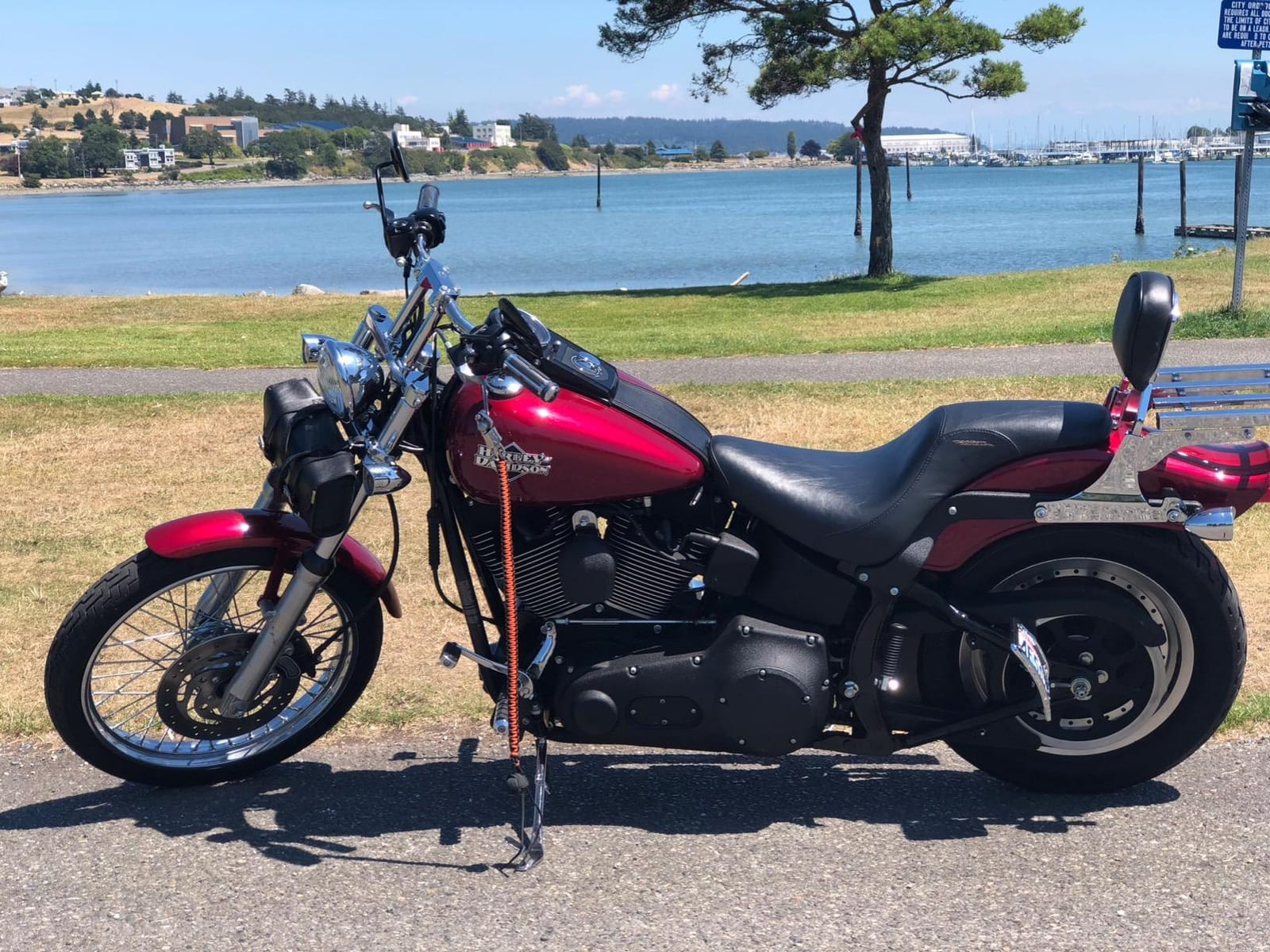 Dunlop American Elite Rear Tire (MU85B16) customer photo 2