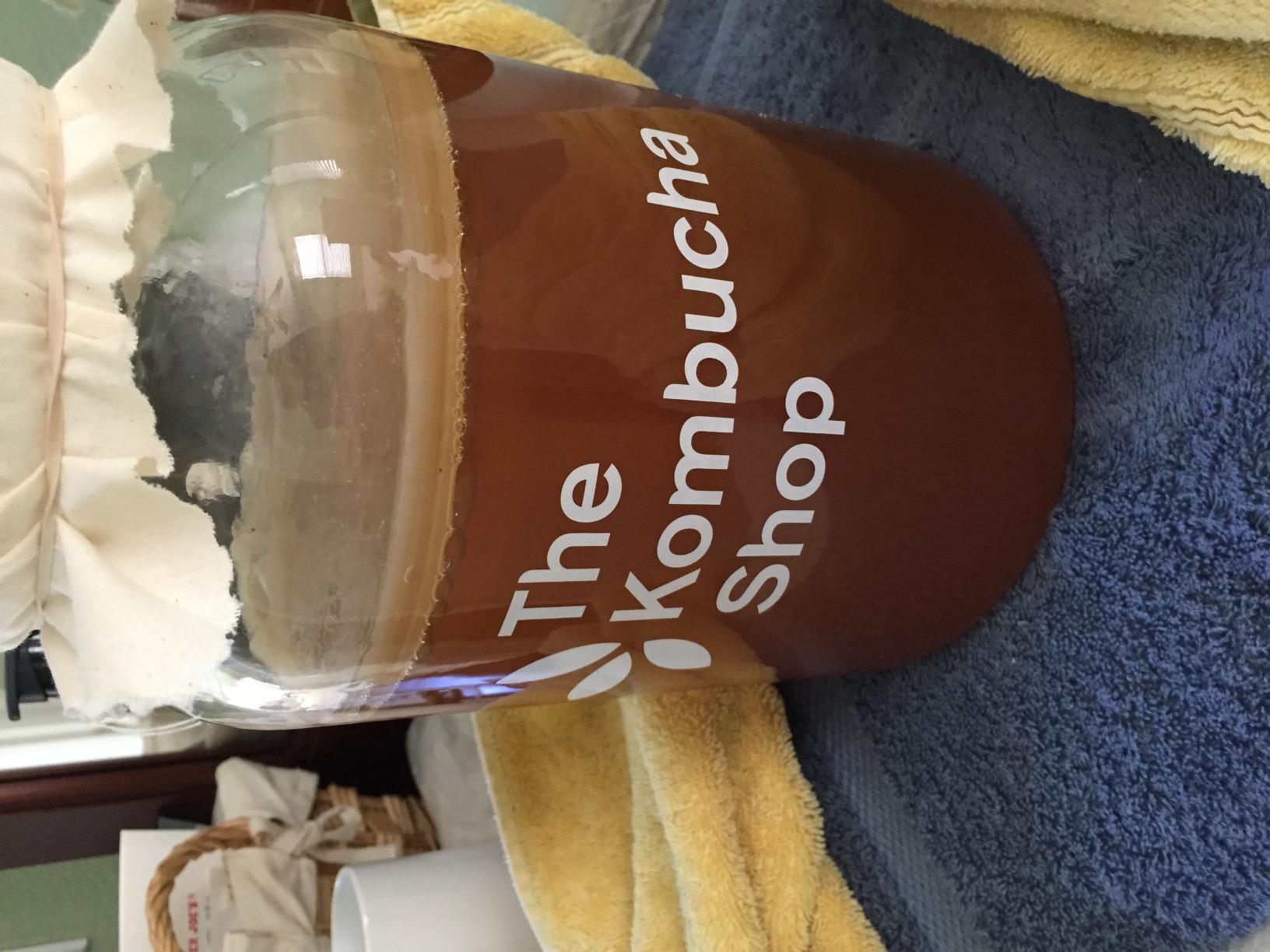 The Kombucha Shop Organic Kombucha Starter Kit - 1 Gallon Brewing Kit Includes All The Essentials Required for Brewing Kombucha At Home customer photo 1