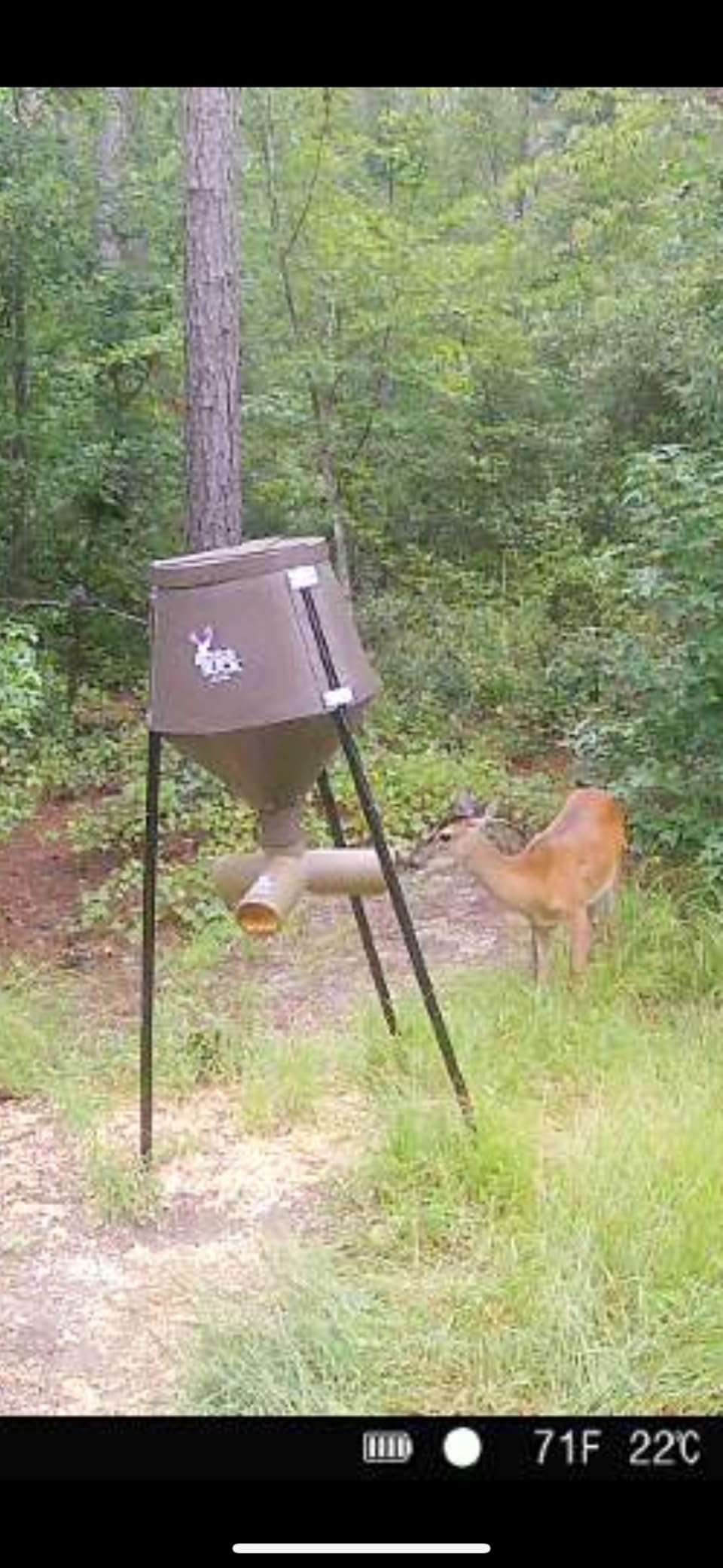 Boss Buck Gravity Deer Feeder for Game & Hunting, 200 lb Corn Capacity customer photo 1