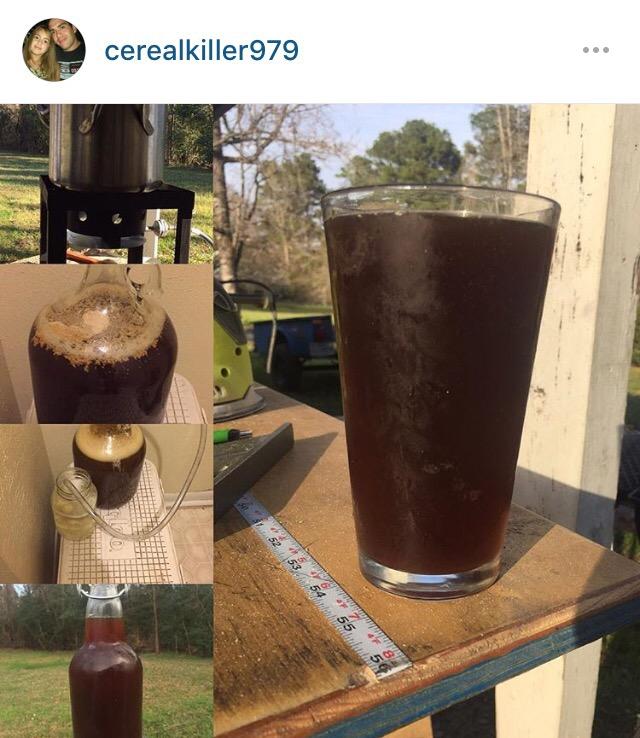 Northern Brewer - Siphonless 1 Gallon Craft Beer Making Starter Kit, Equipment and Beer Recipe Kit (Caribou Slobber Brown Ale) customer photo 2
