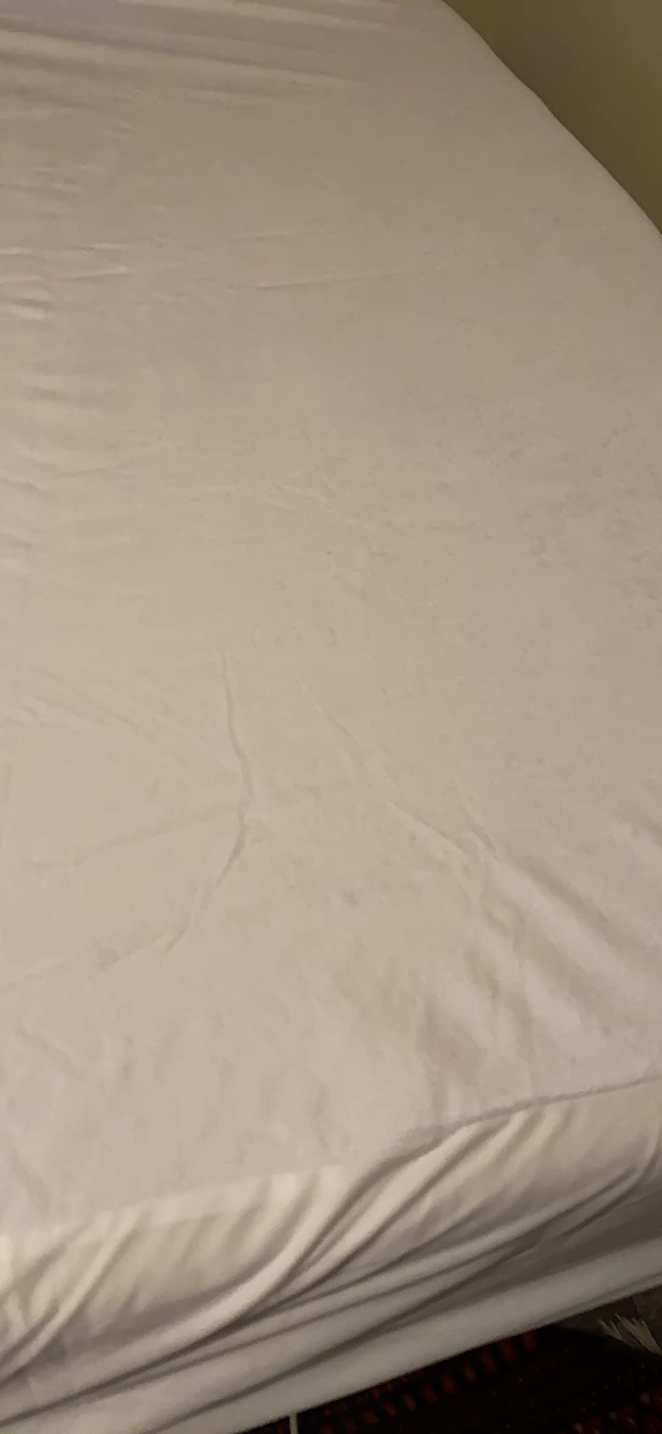 Queen (13-16 in. Deep) SureGuard Mattress Encasement - 100% Waterproof, Bed Bug Proof, Hypoallergenic - Premium Zippered Six-Sided Cover customer photo 1