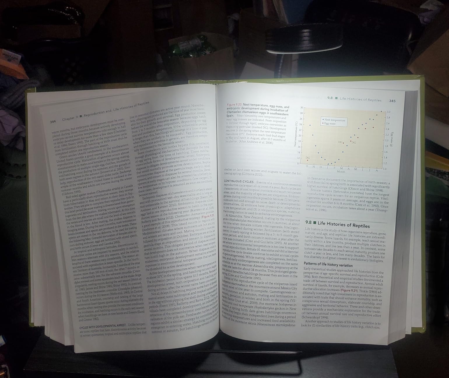 LEPOWER Clip on Light, Book Reading Lamp for Desk, Bed Headboard and Dorm customer photo 2