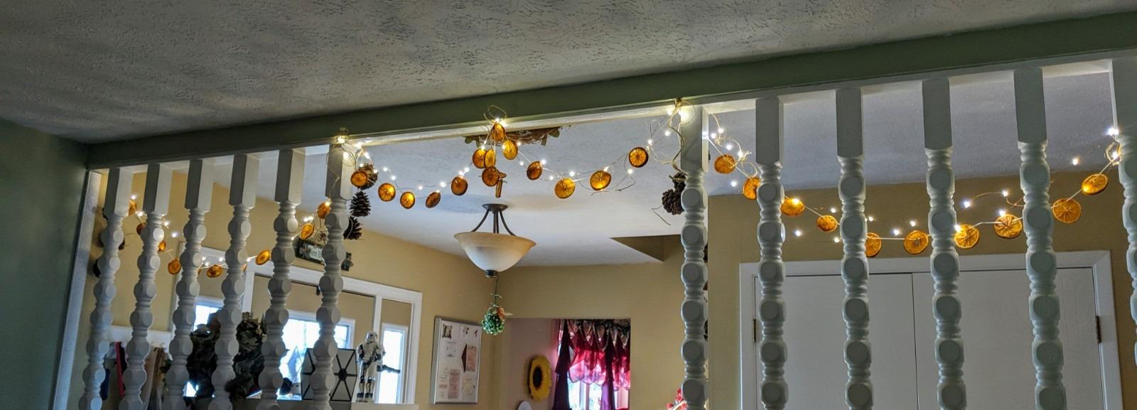 Lighting EVER Fairy Lights Plug in, 33ft 100 LED String Lights with Switch customer photo 2