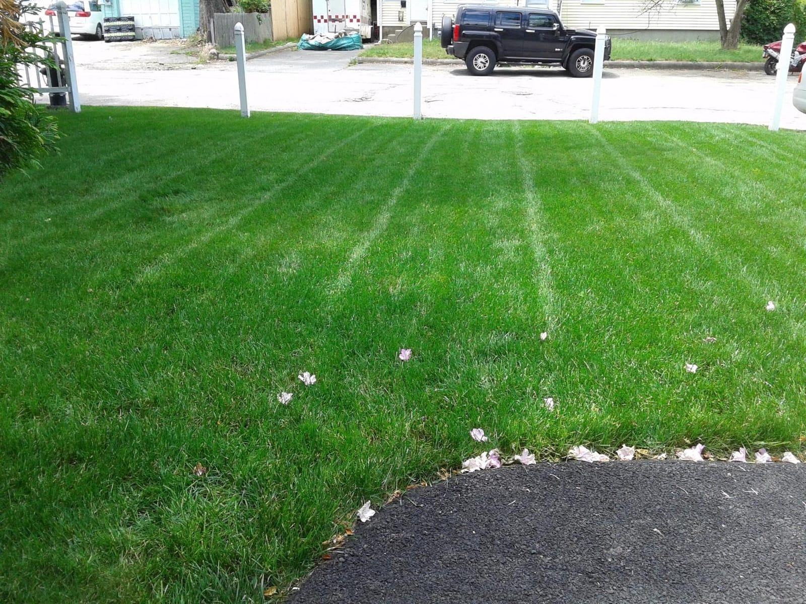 Soil Test Kit | Understand What Your Lawn or Garden Soil Needs, Not Sure What Fertilizer to Apply | Analysis Provides Complete Nutrient Analysis & Fertilizer Recommendation On Report customer photo 2